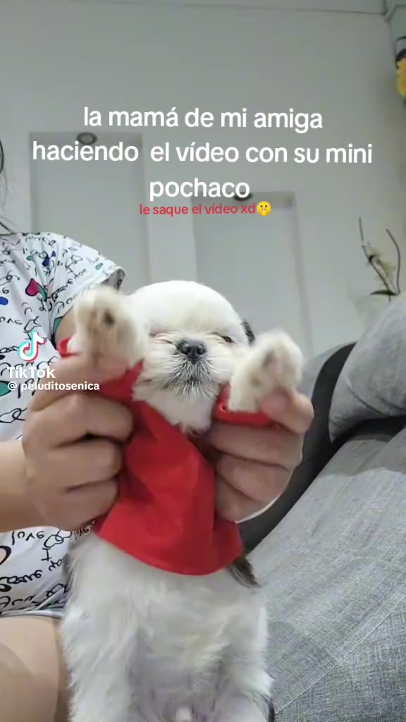 @&hearts;️🧸&bull;~fan de Celynnei~🧸❤️