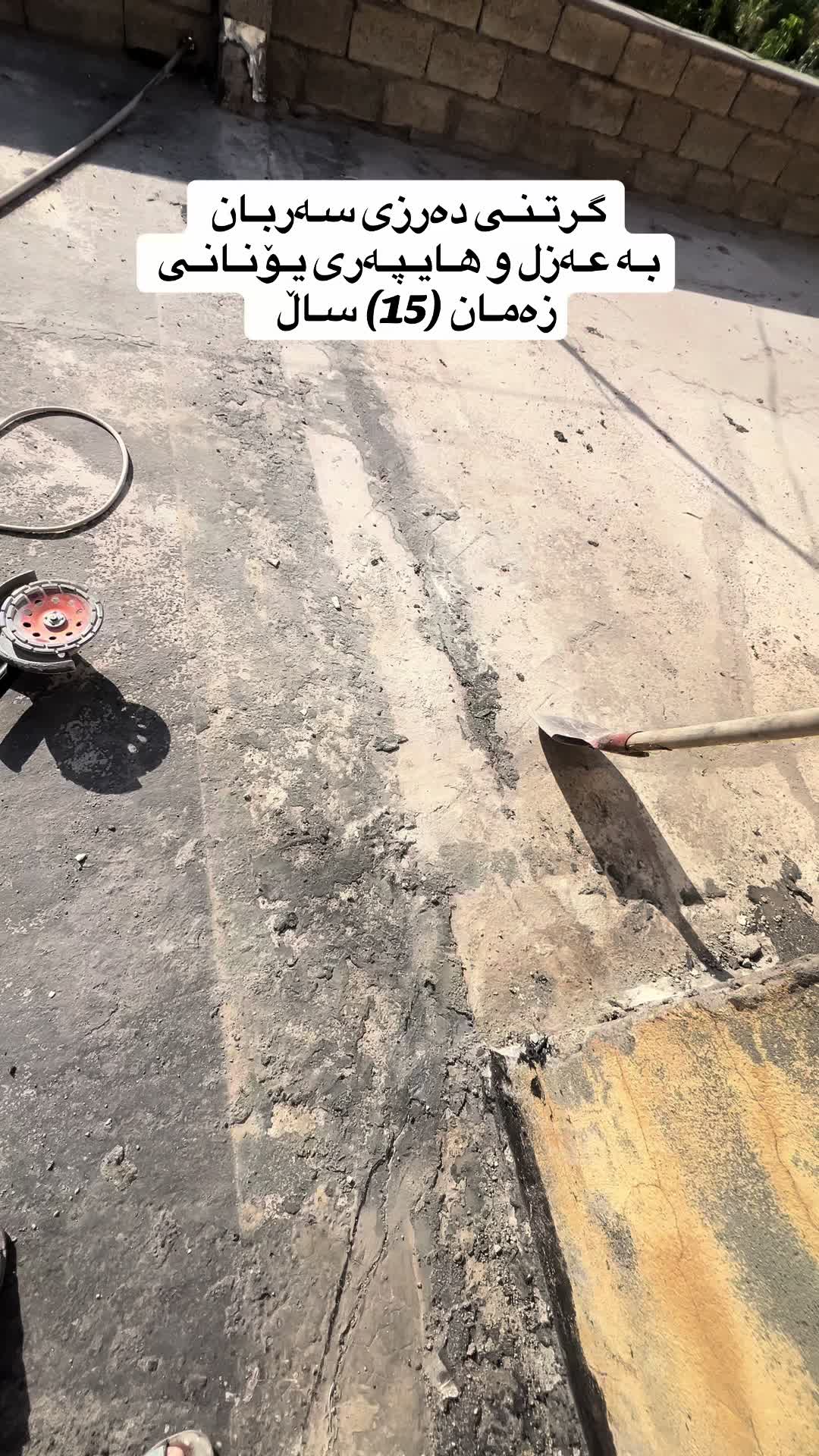 @Śura⚜️🤍