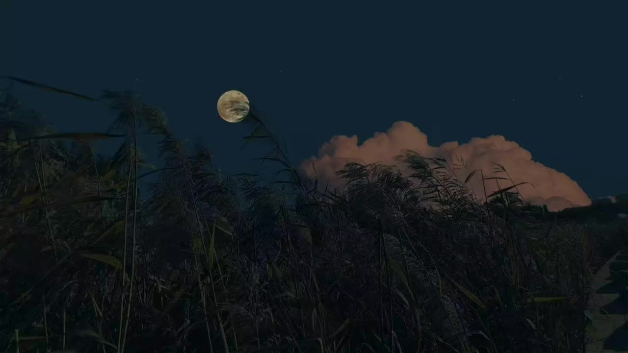@𝐒𝐭𝐚𝐫 𝐞𝐝𝐢𝐭