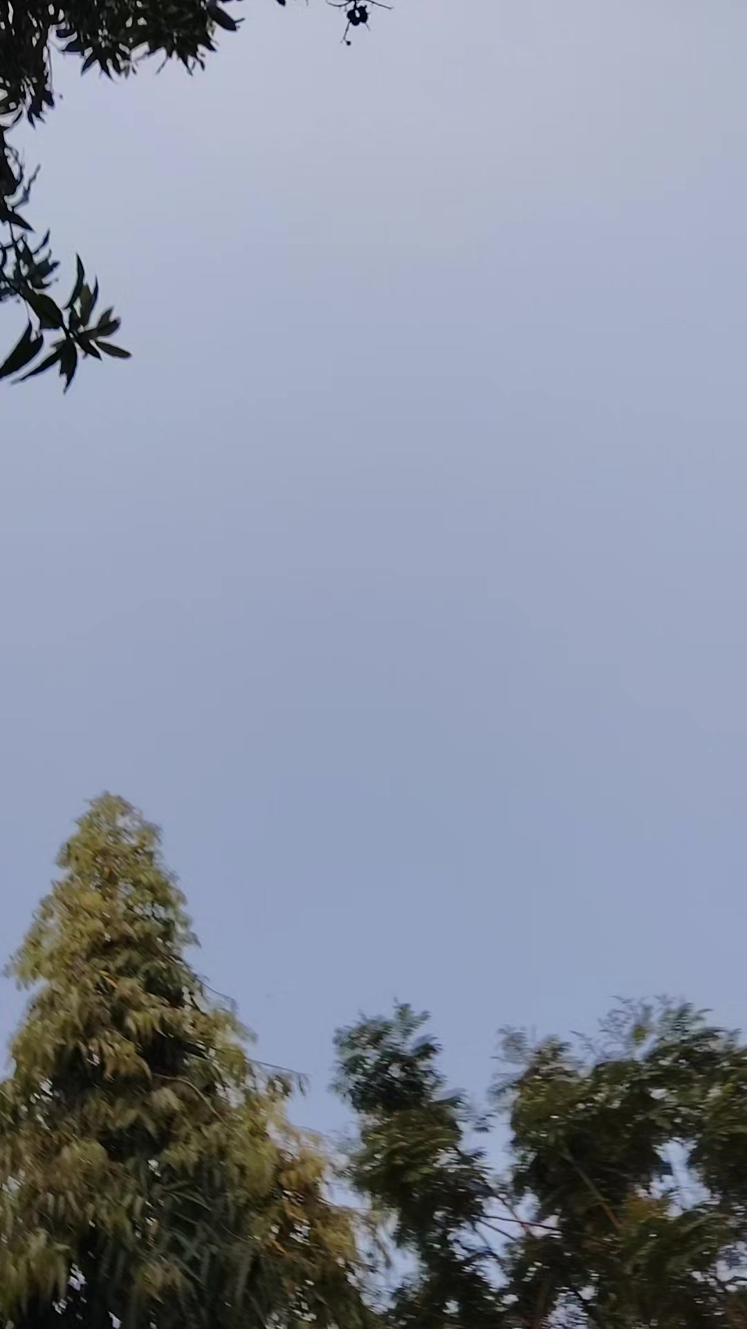 @munilal