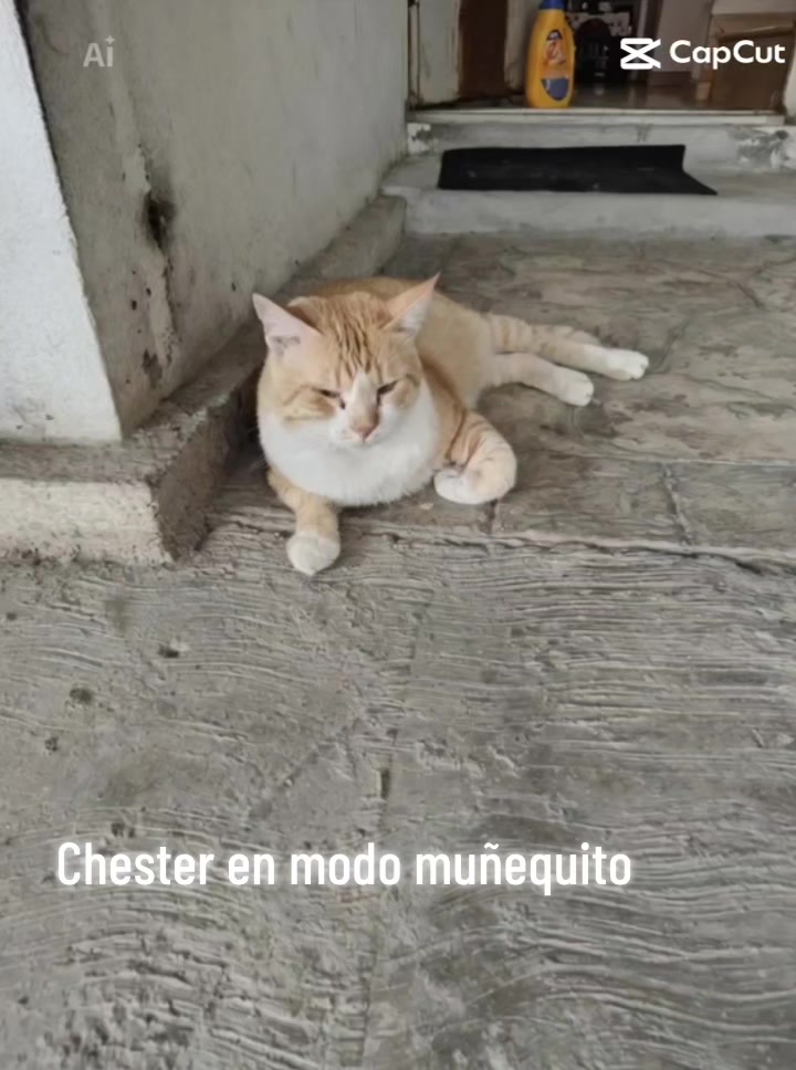 @Jorge Lopez