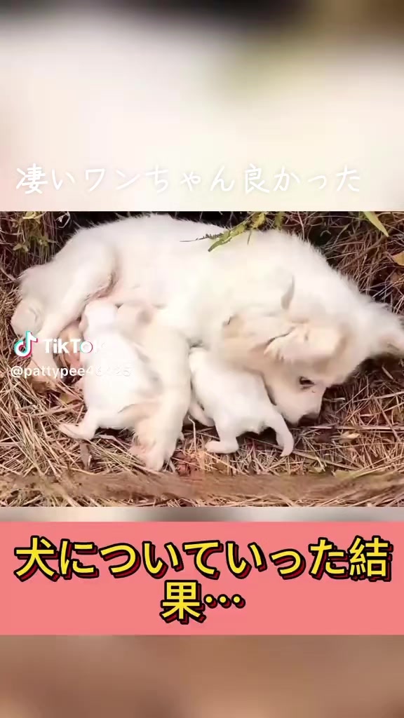 @ひろし❗️
