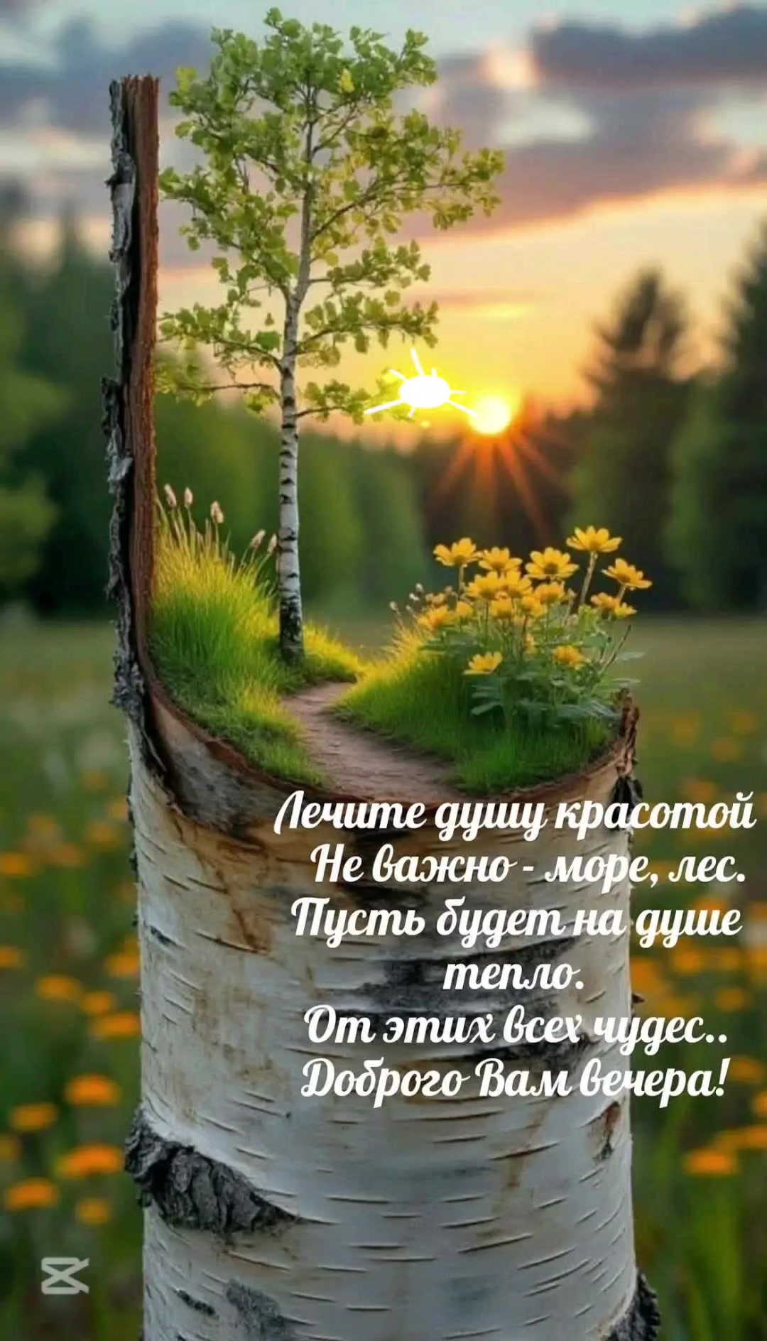 @Наталия Мельниченко