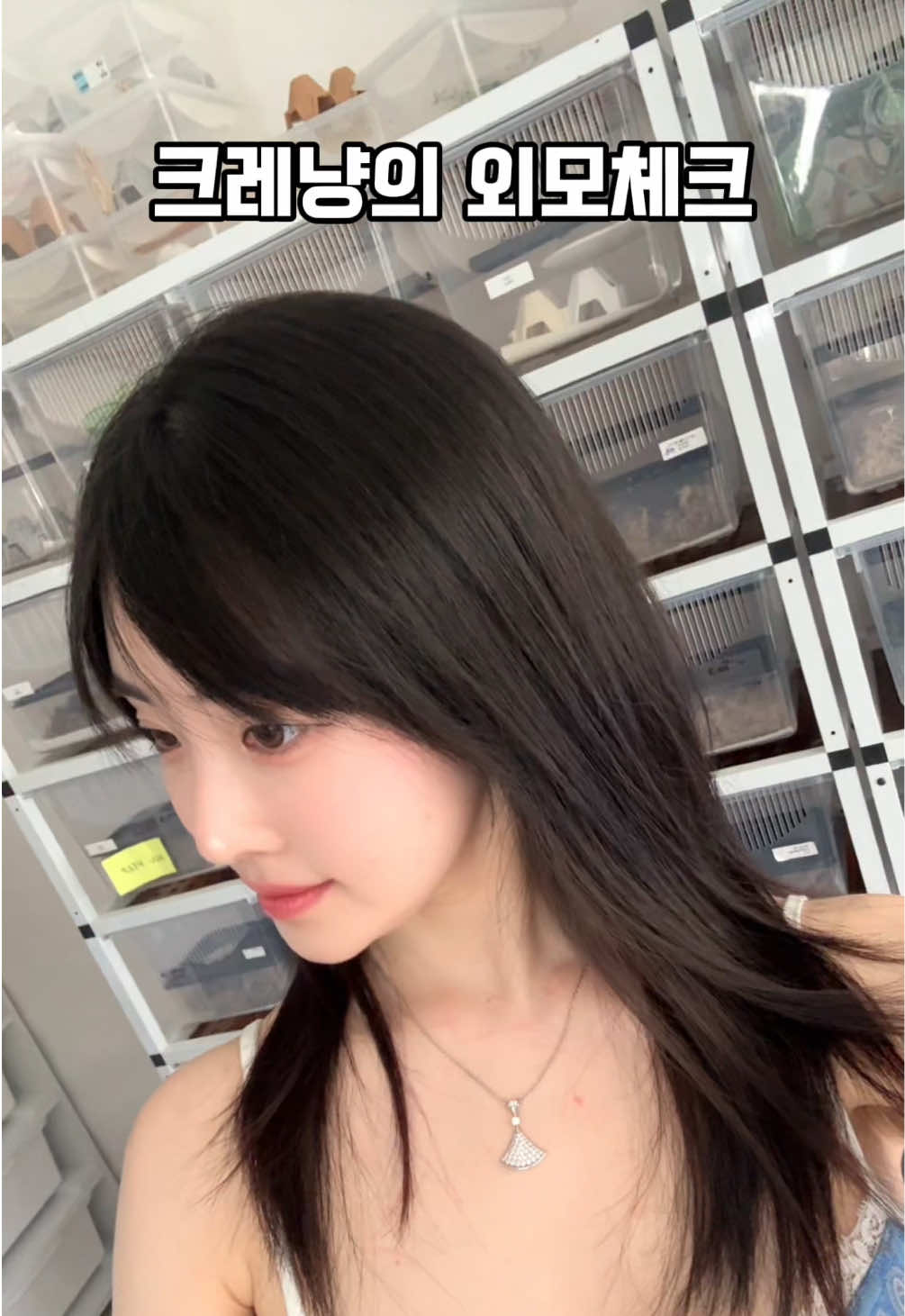 @Crenyang