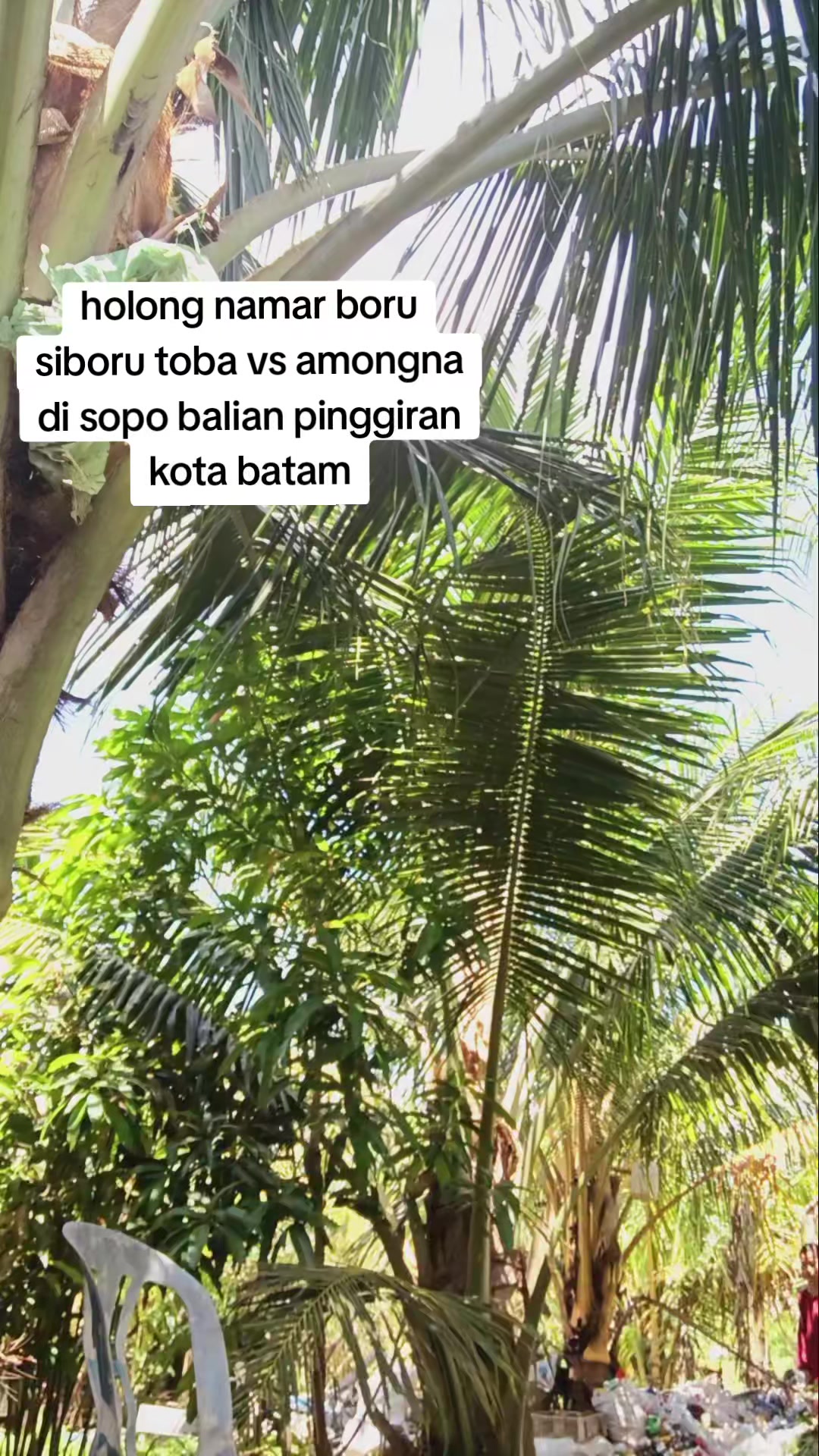 @SOPO BALIAN SI BORU TOBA