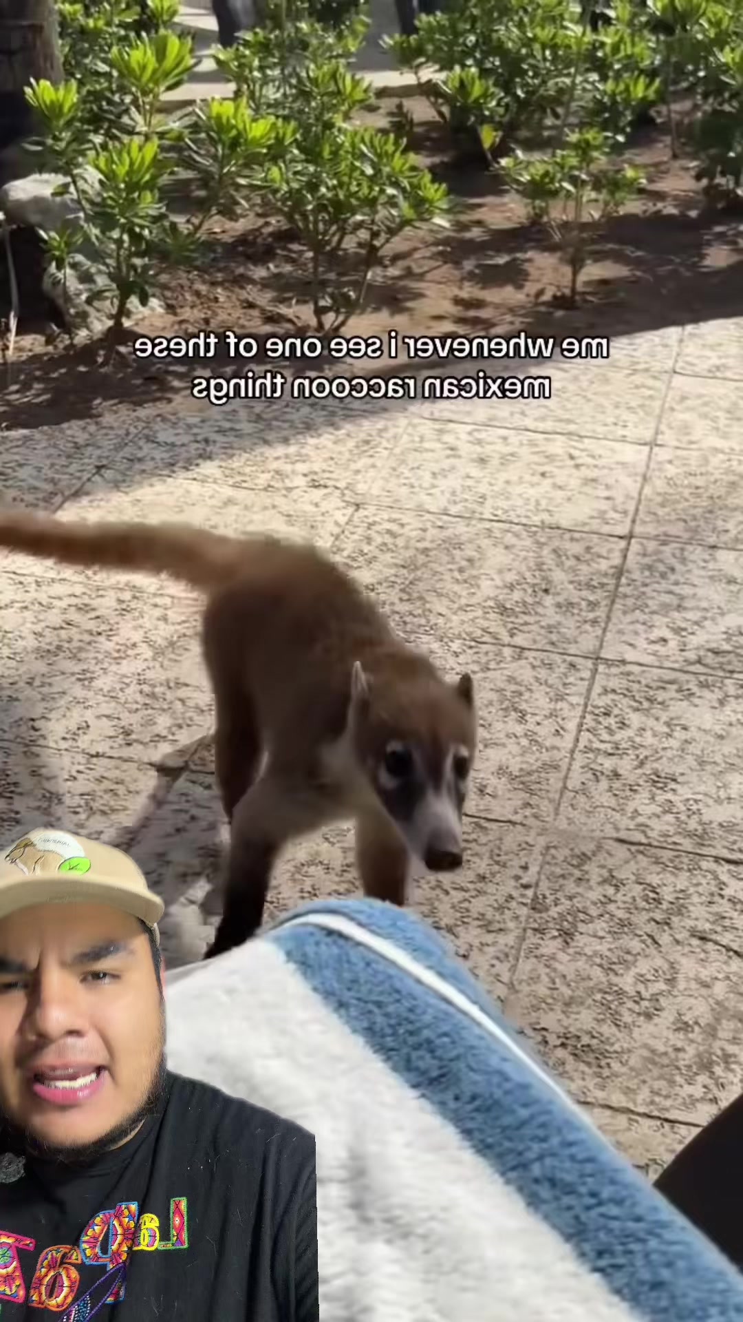 @Jair Herrera 🐆