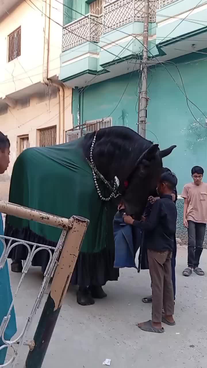 @Abdullahkhan333