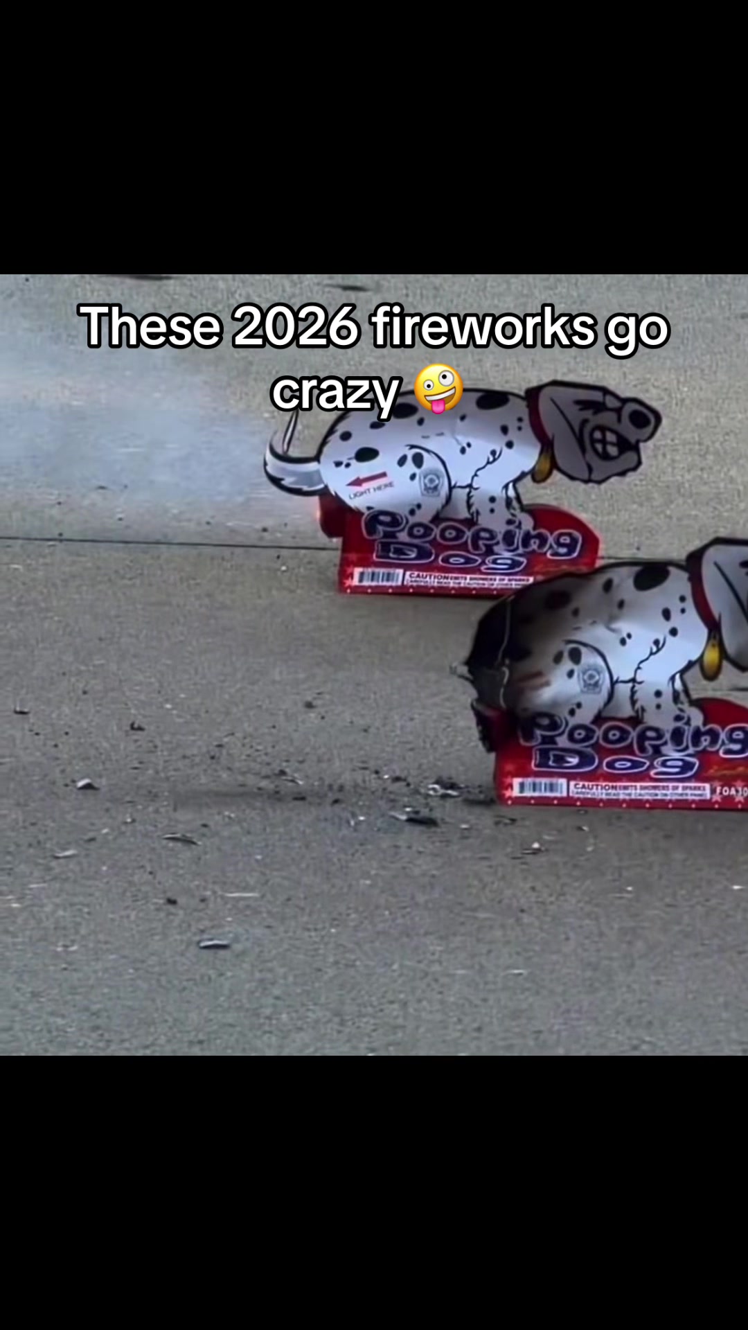 @Loyal_prints2025