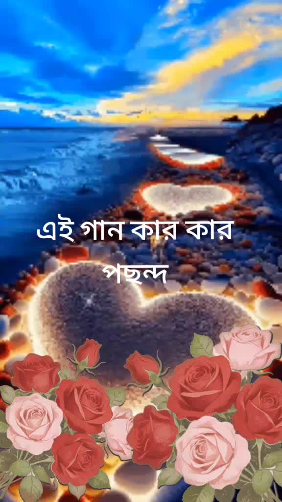 @Shokin Ali