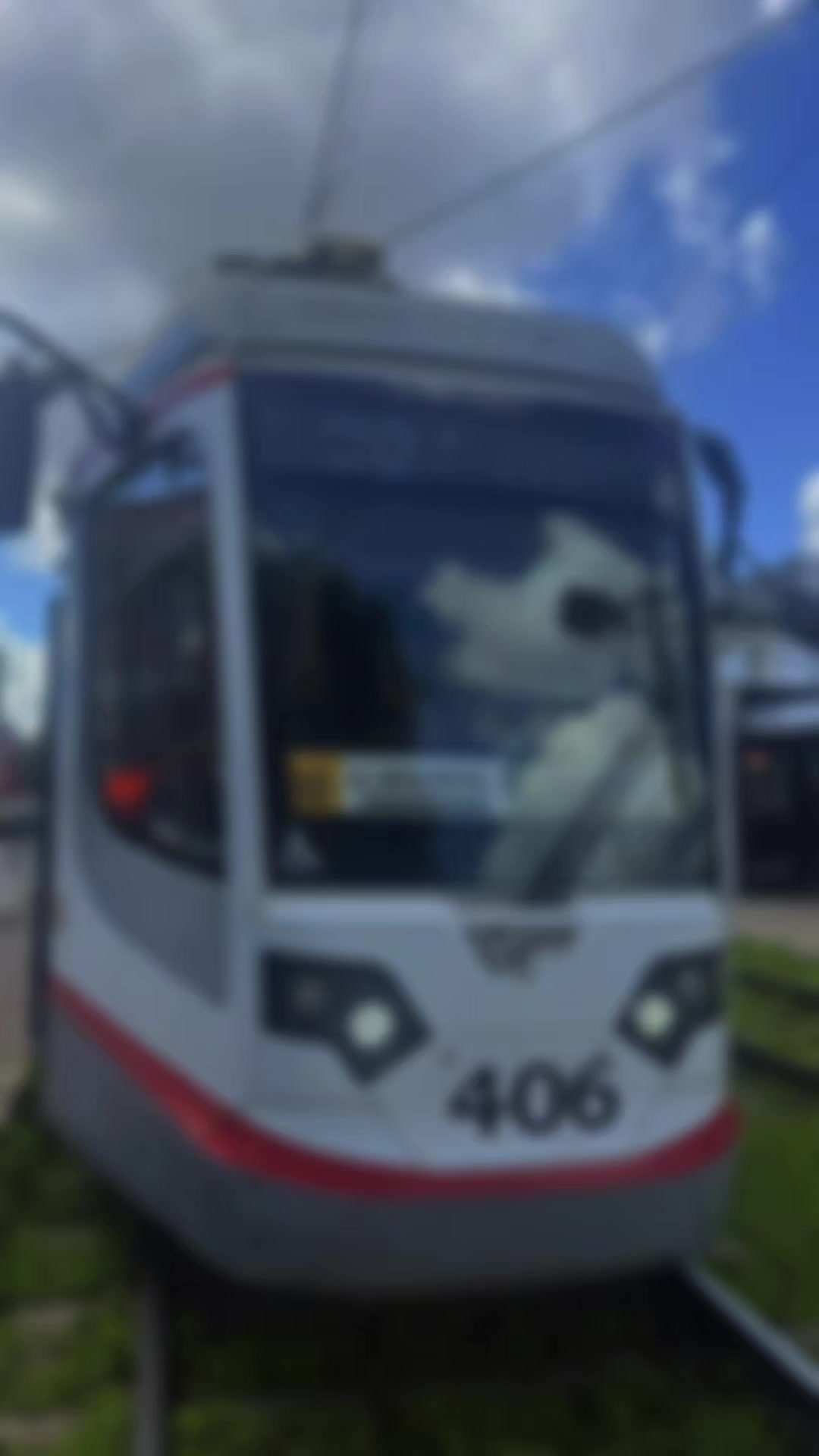 @⚜️Tram Driver Leo⚜️