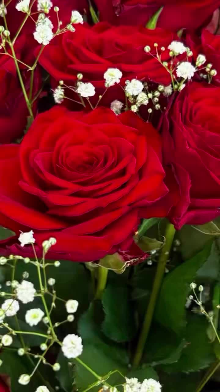 @lapislazuli19721112
