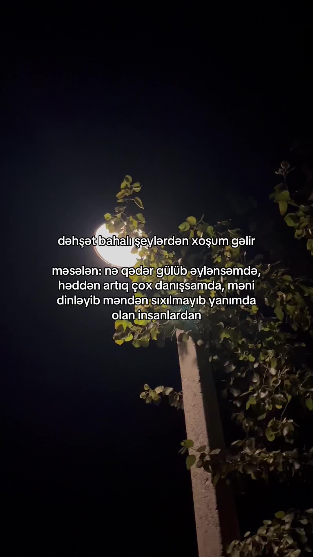 @penahovv.17