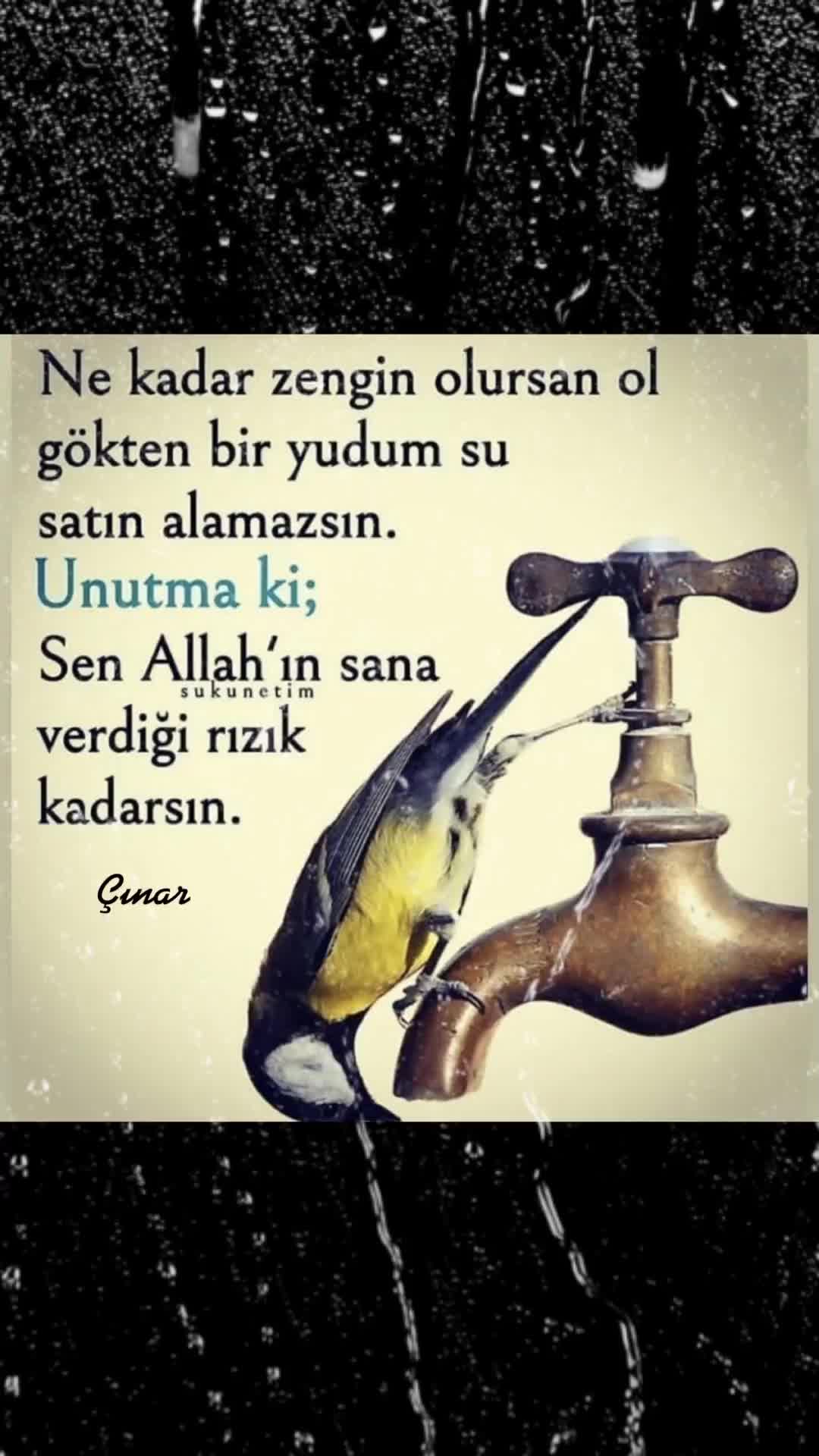 @Adem