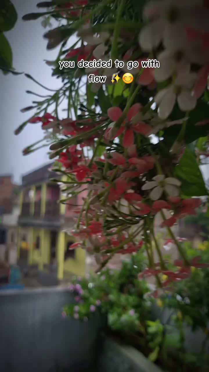 @prajapati