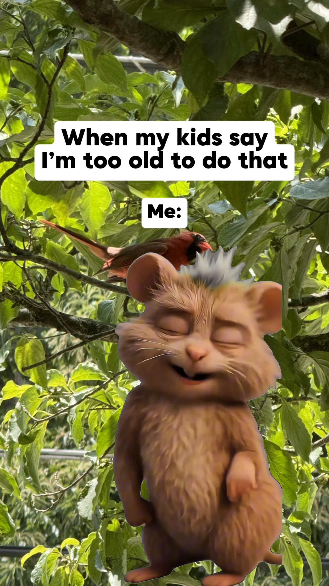 @Sarah and Family