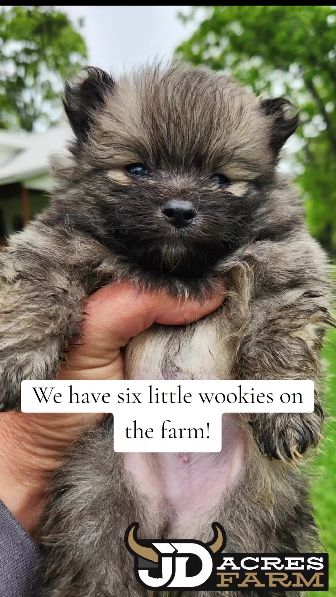 @JD Acres Farm