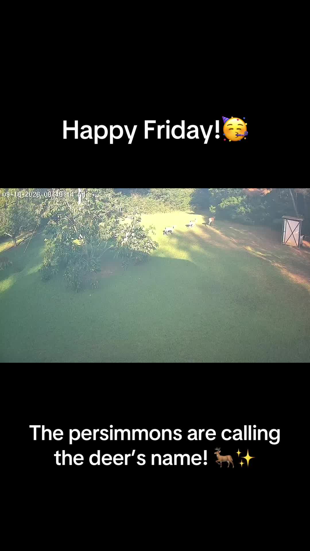 @MamaGlo