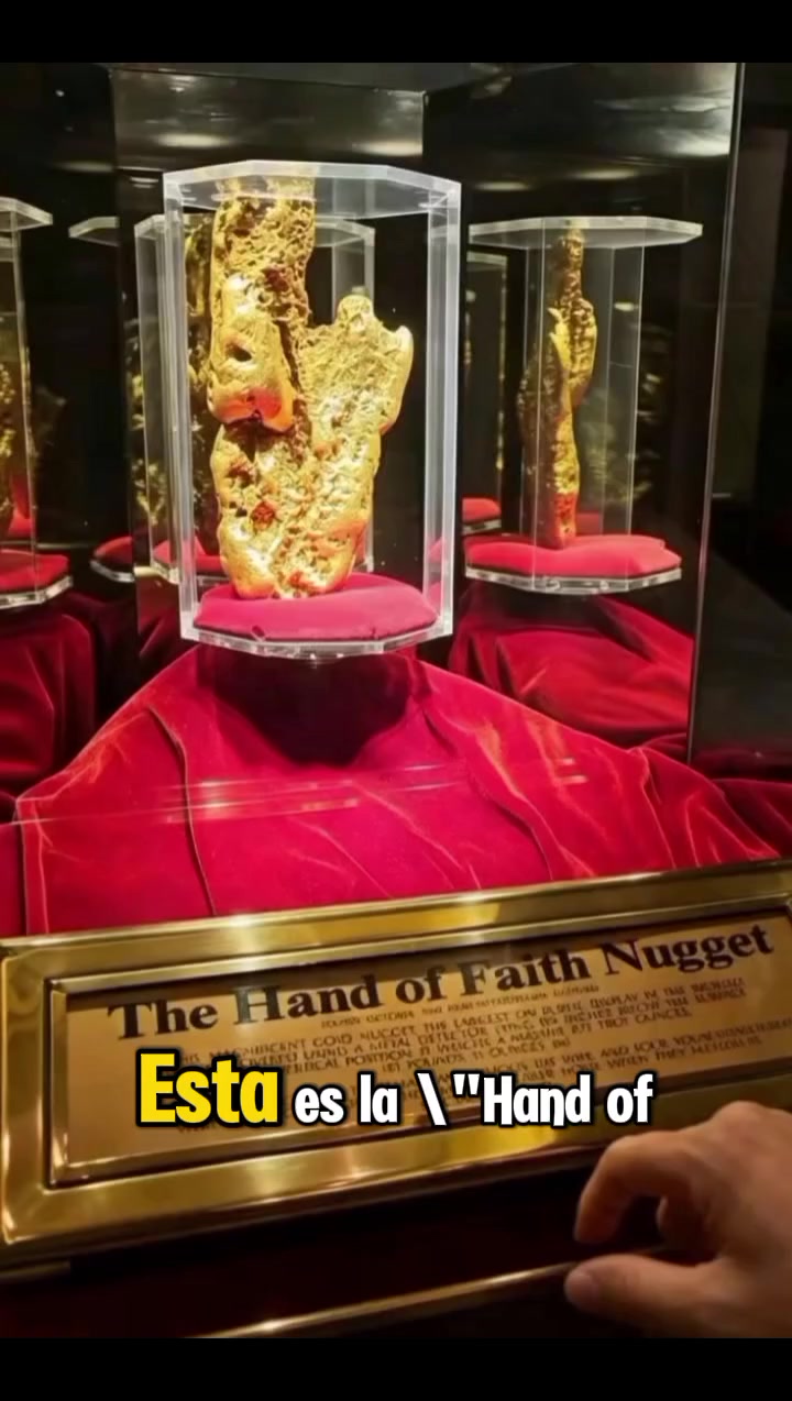 @mundo extraordinario