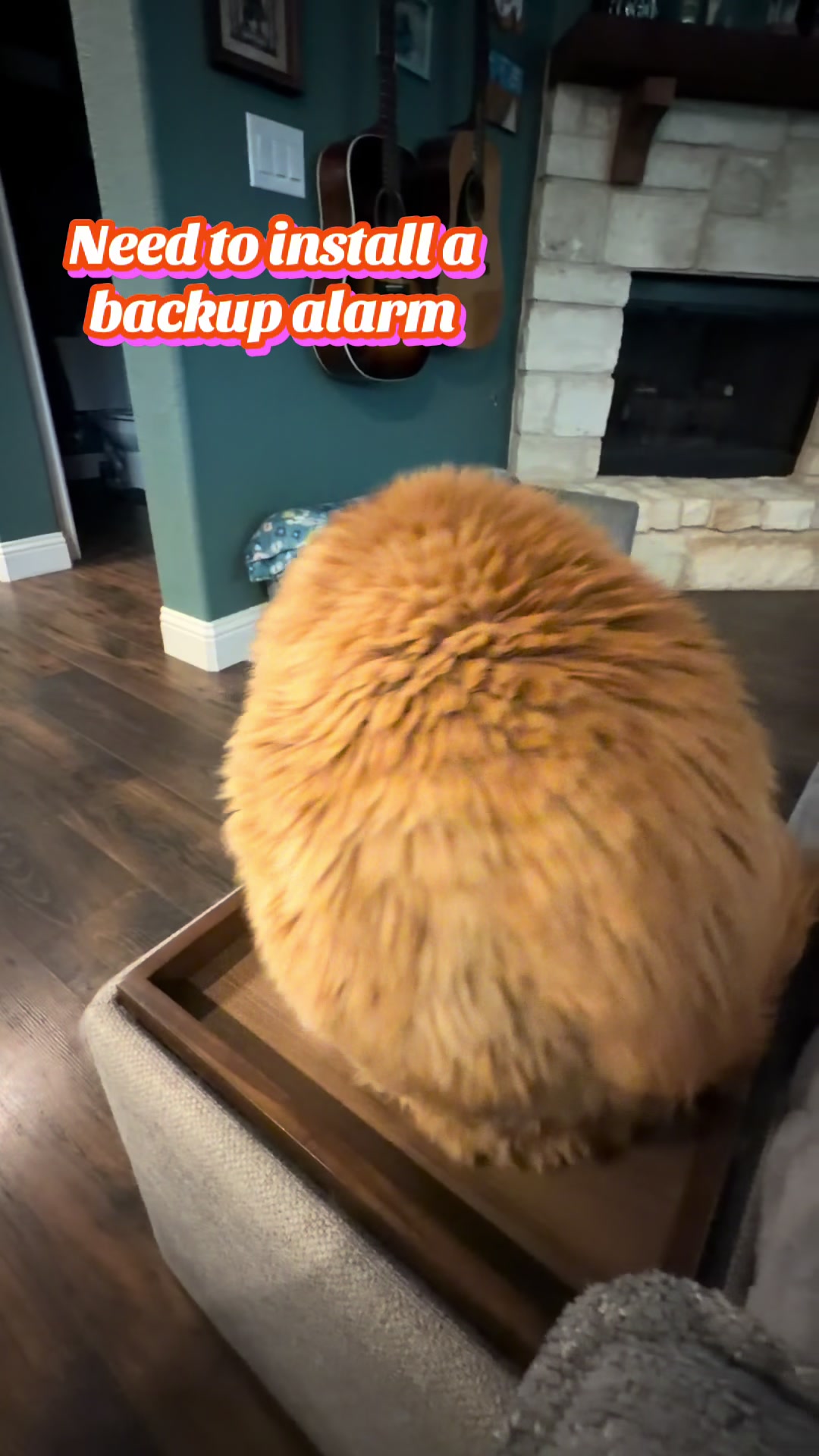 @Theodore Scritches McWiggles