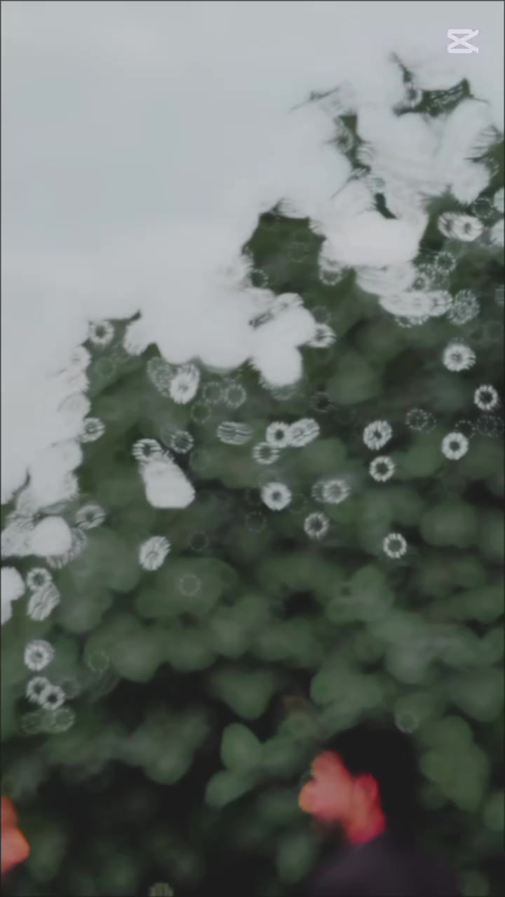 @𝙒𝘼ل𝙀𝙀𝘿🏴