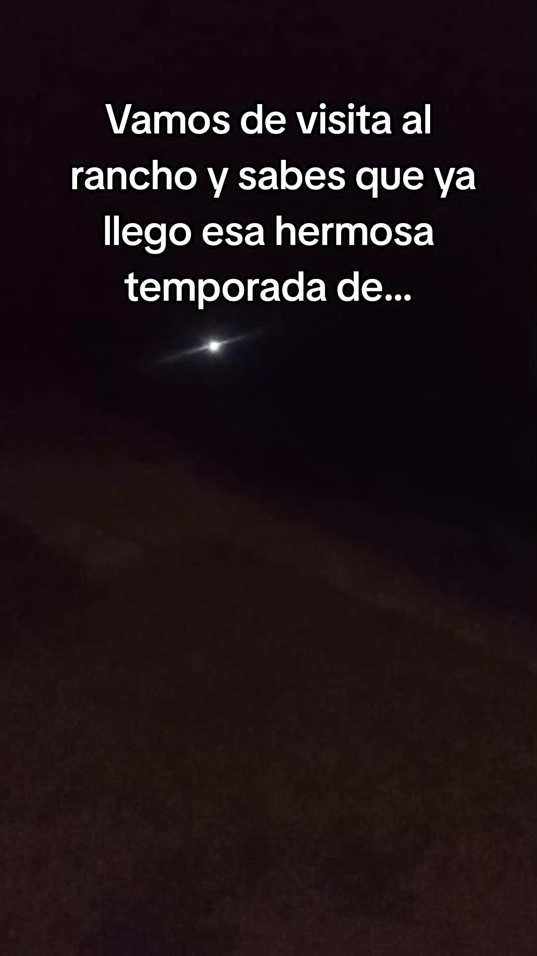 @Alondra Godinez