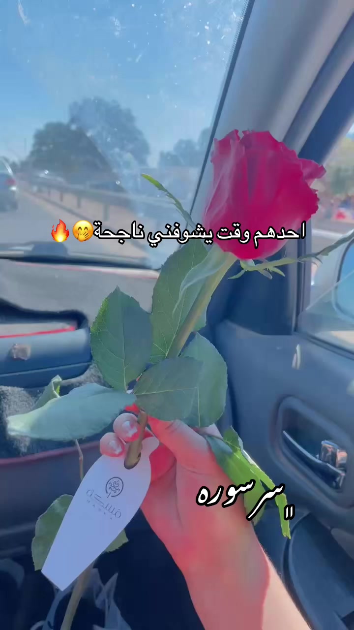 @﮼سَرْسورَه🎀✨