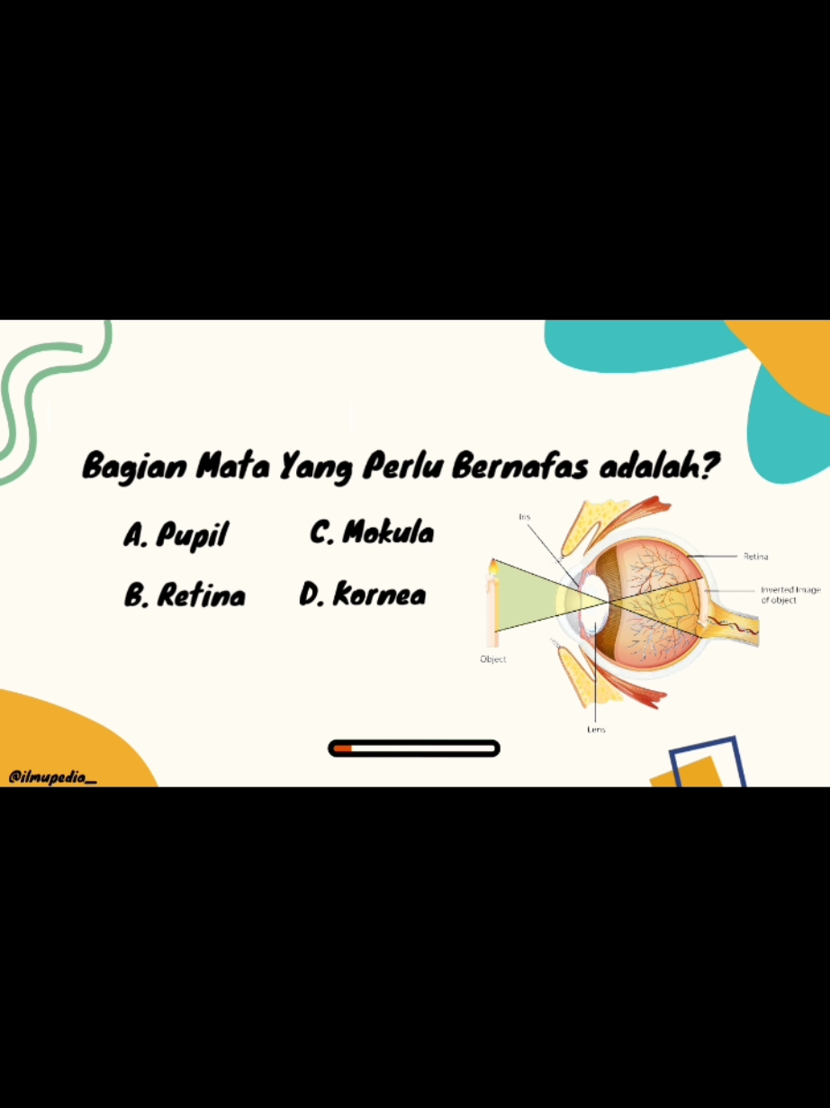 @Ilmupedia Store