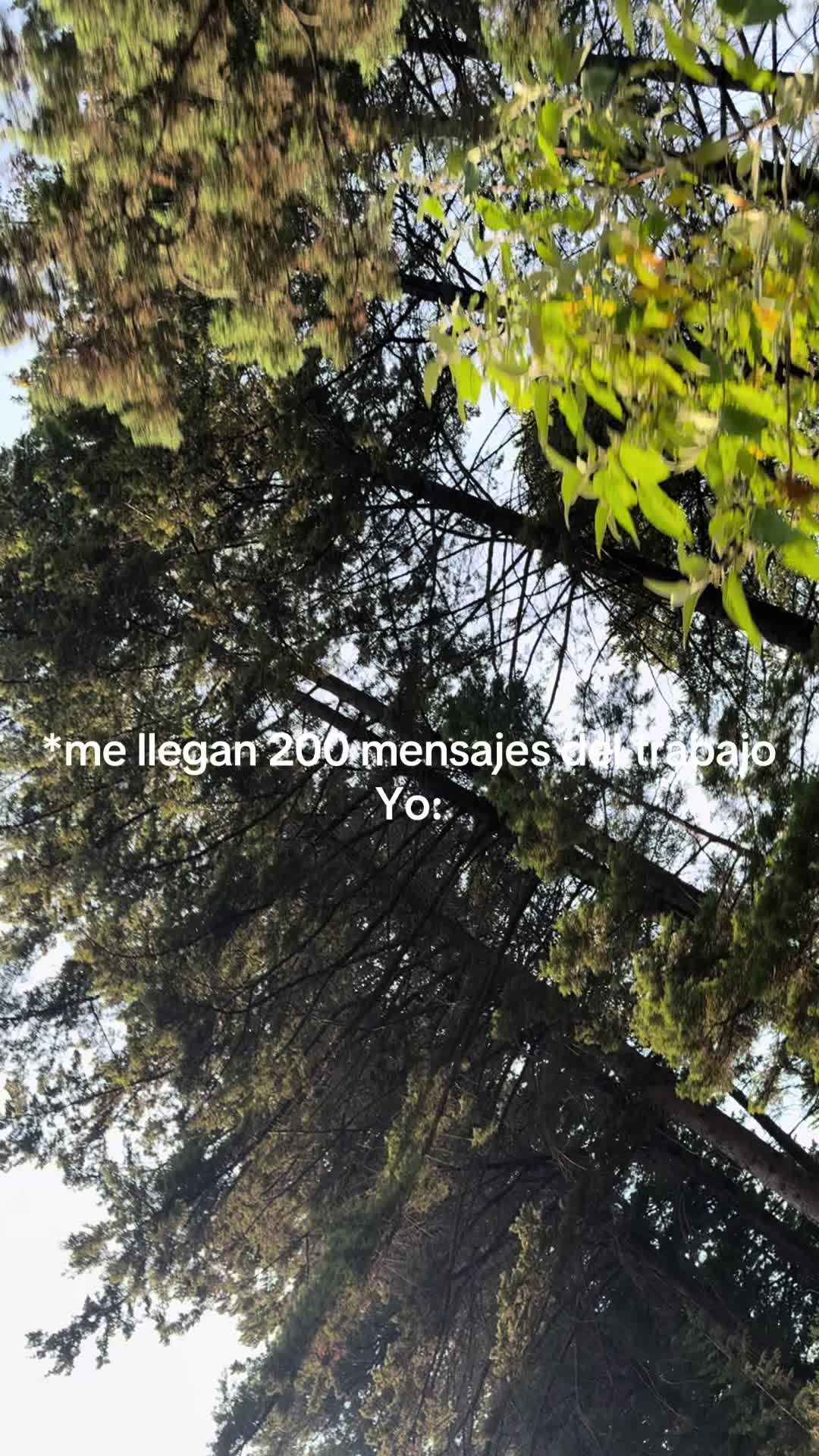 @Mike Margonza