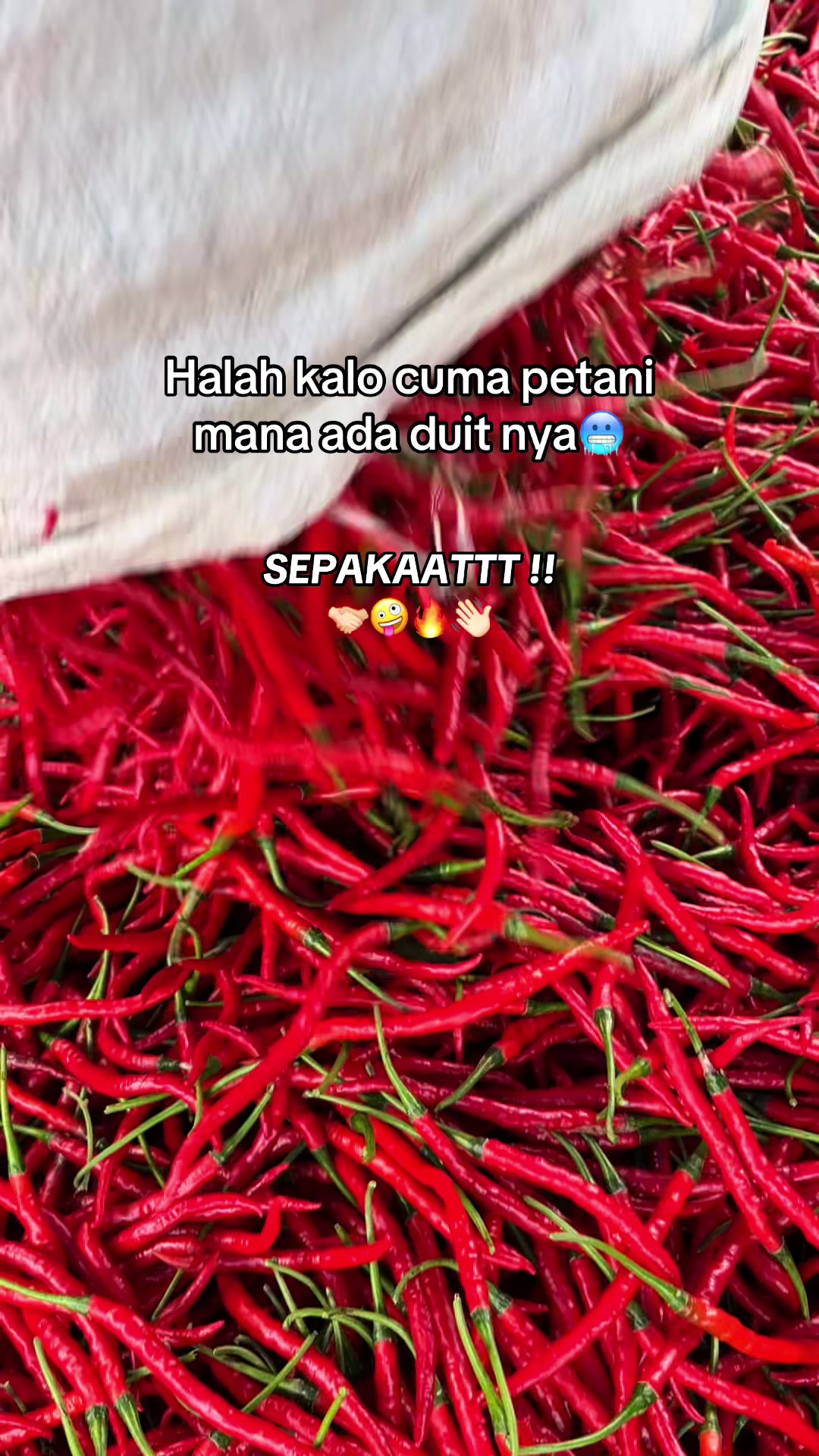 @๐ฉ๐๐๐ ๐๐น๐ญ