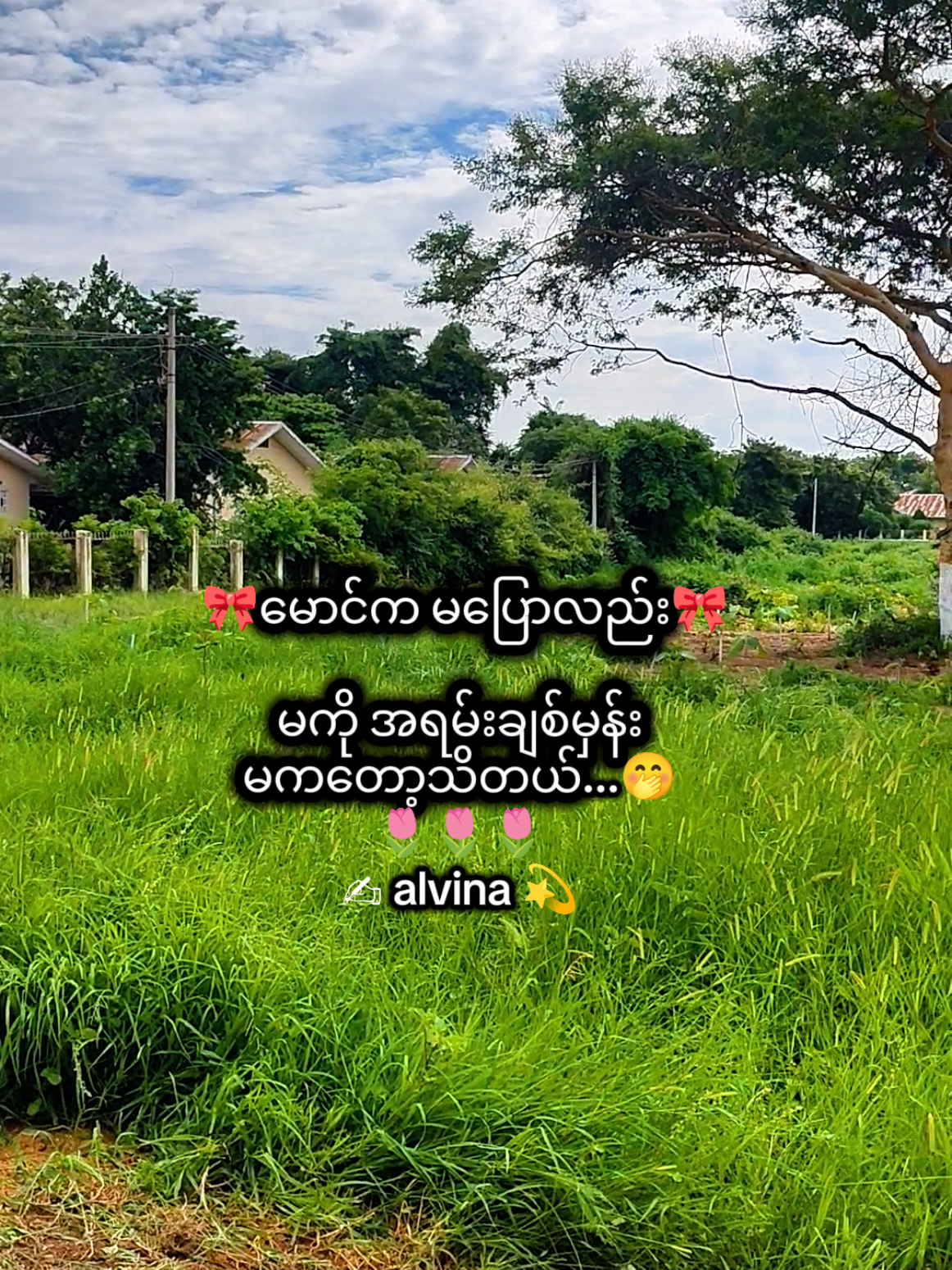 @🇯🇵 Alvina💫(အယ်ဗီနာ)💫🇯🇵