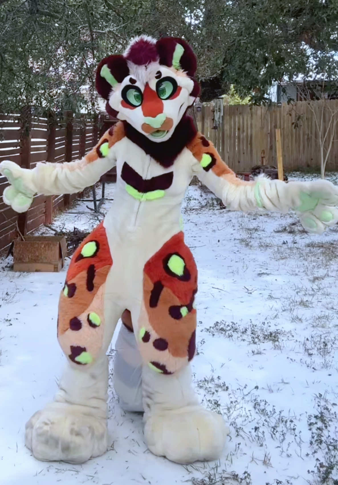 @Peckish.Paws