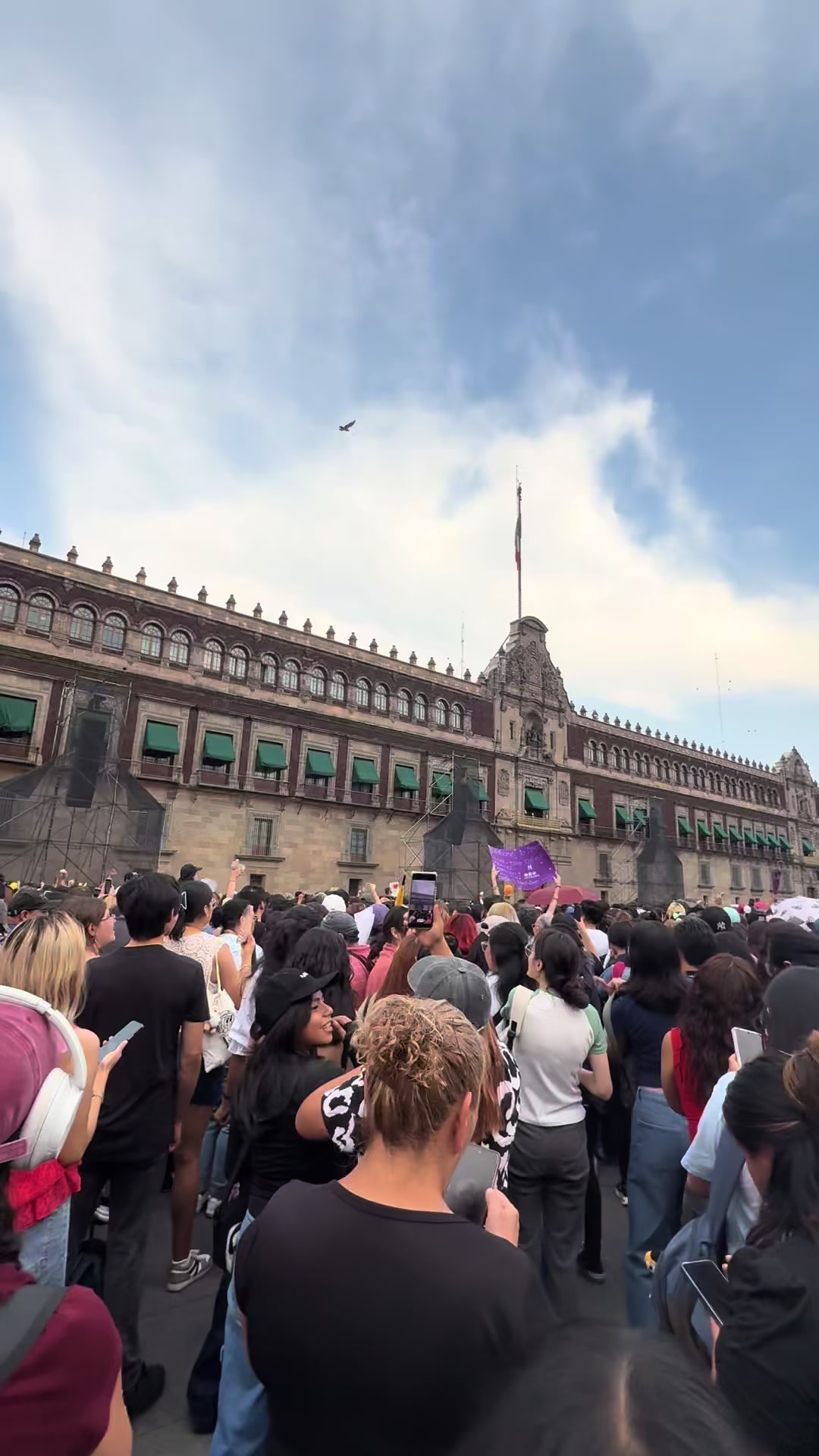 @Anahi C