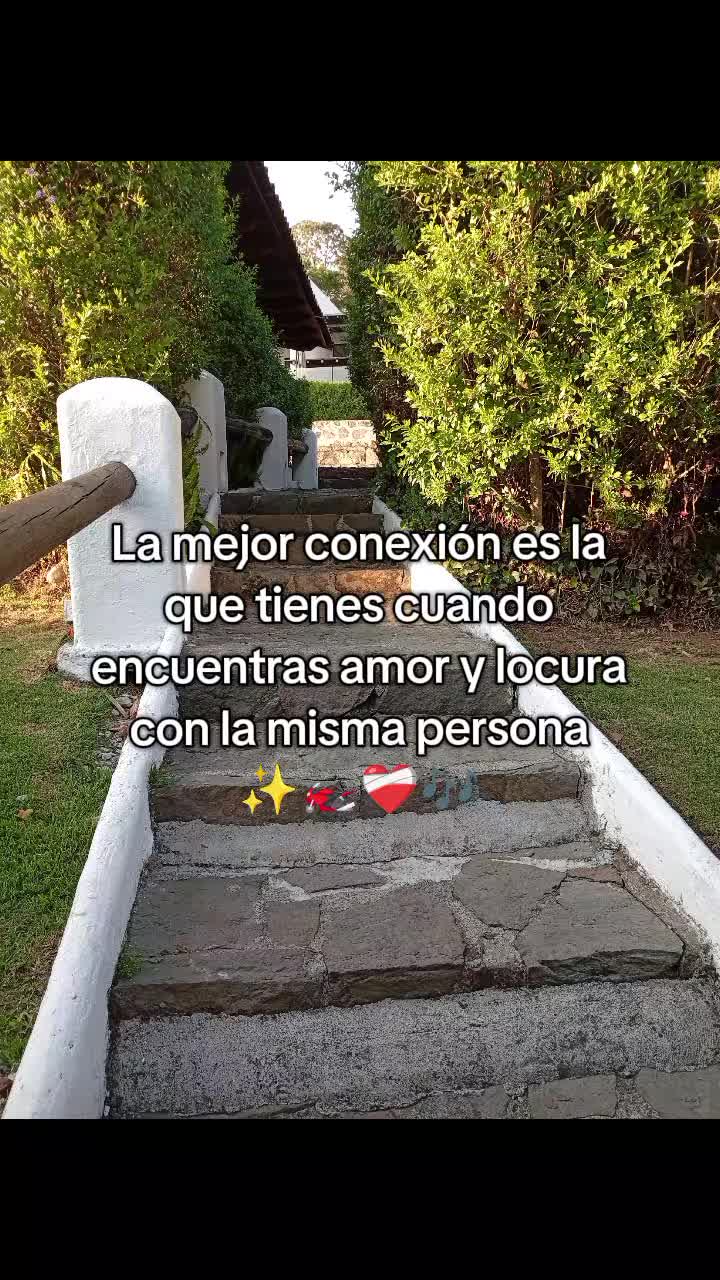 @Brenda Alonso