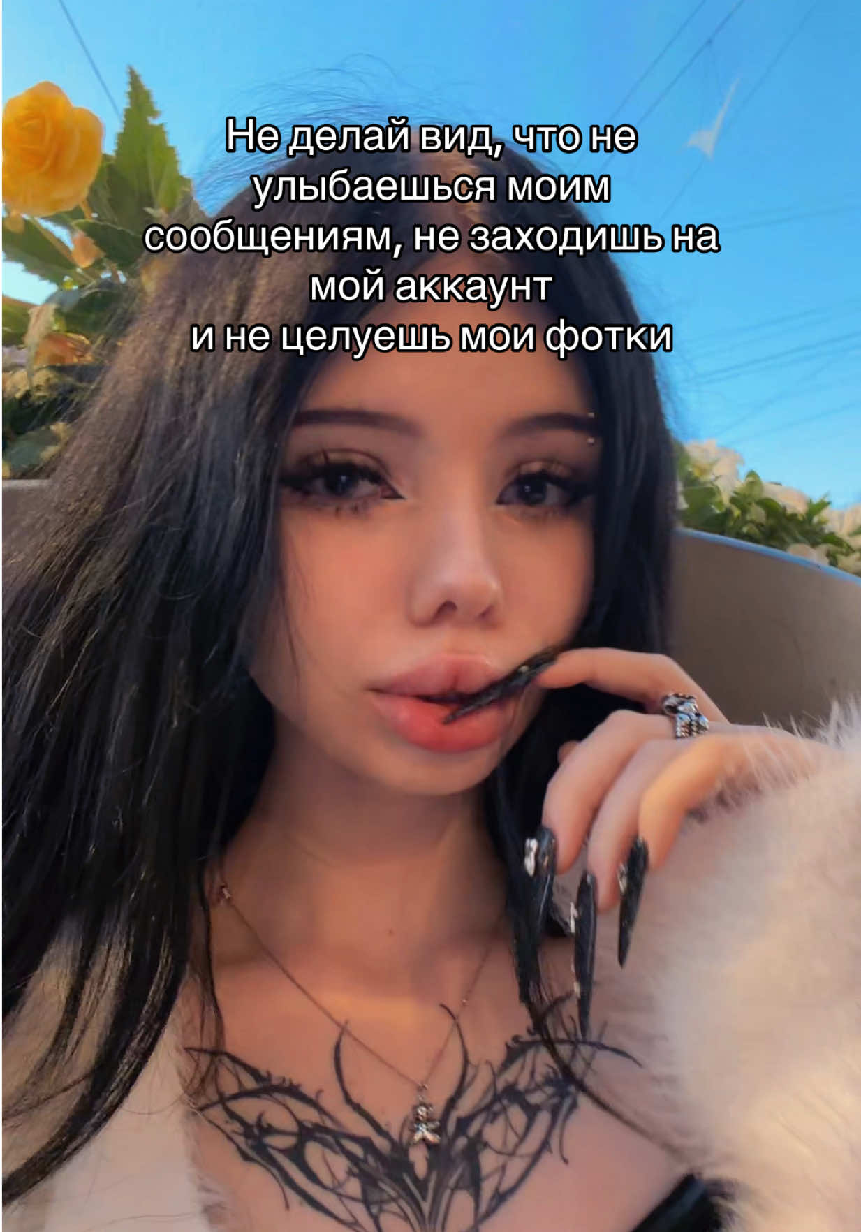 @curigato