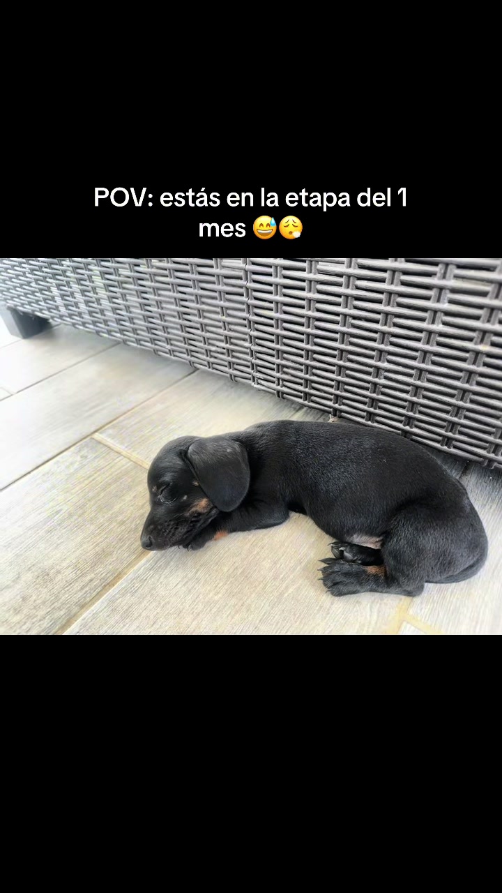 @𝗖𝘆𝗻𝗱𝗶 🩵
