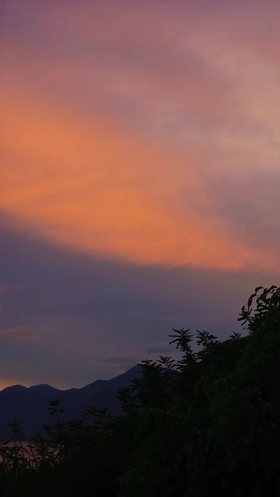 @𝓐𝓵𝓲𝔃502🇬🇹🌅
