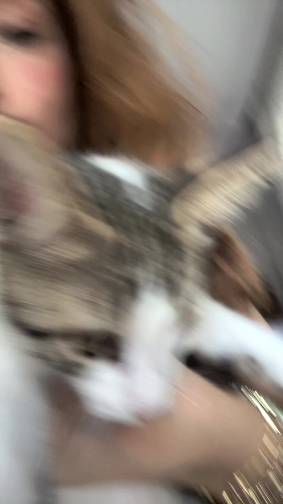 @*ੈ✩‧˚♡