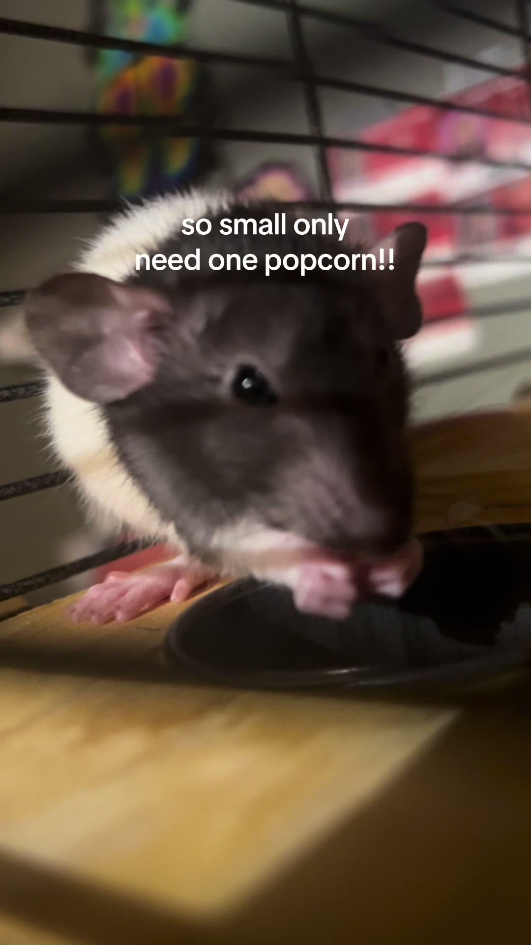 @squiggly