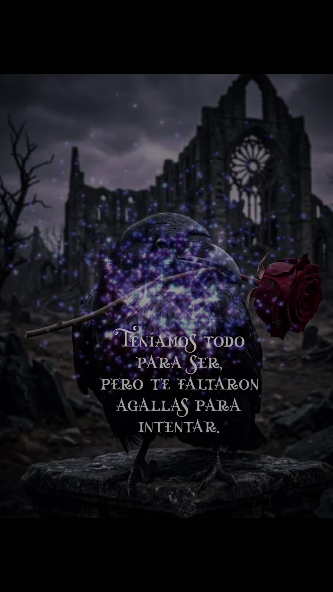 @daisypizarro21