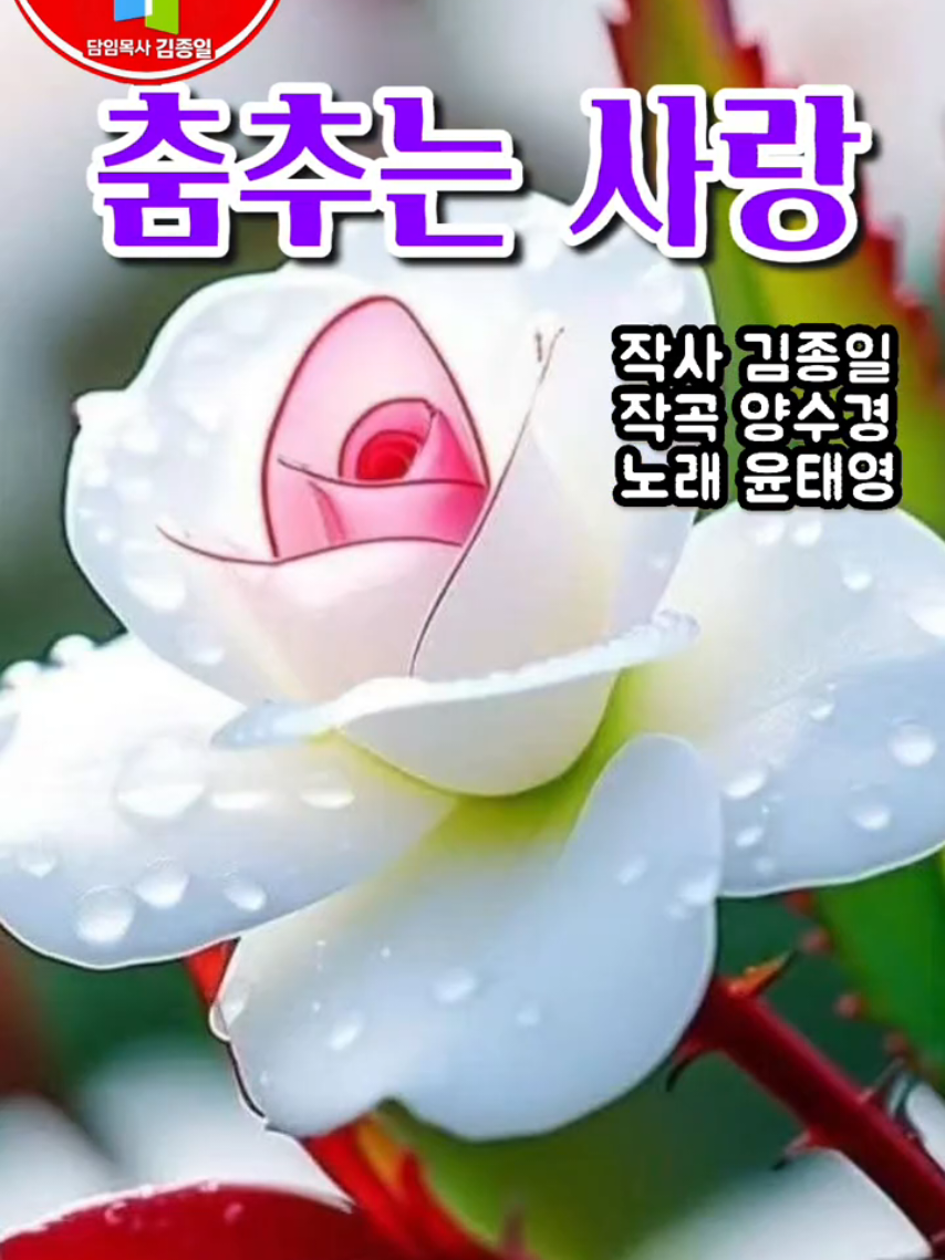 @피켓전도 김종일 목사