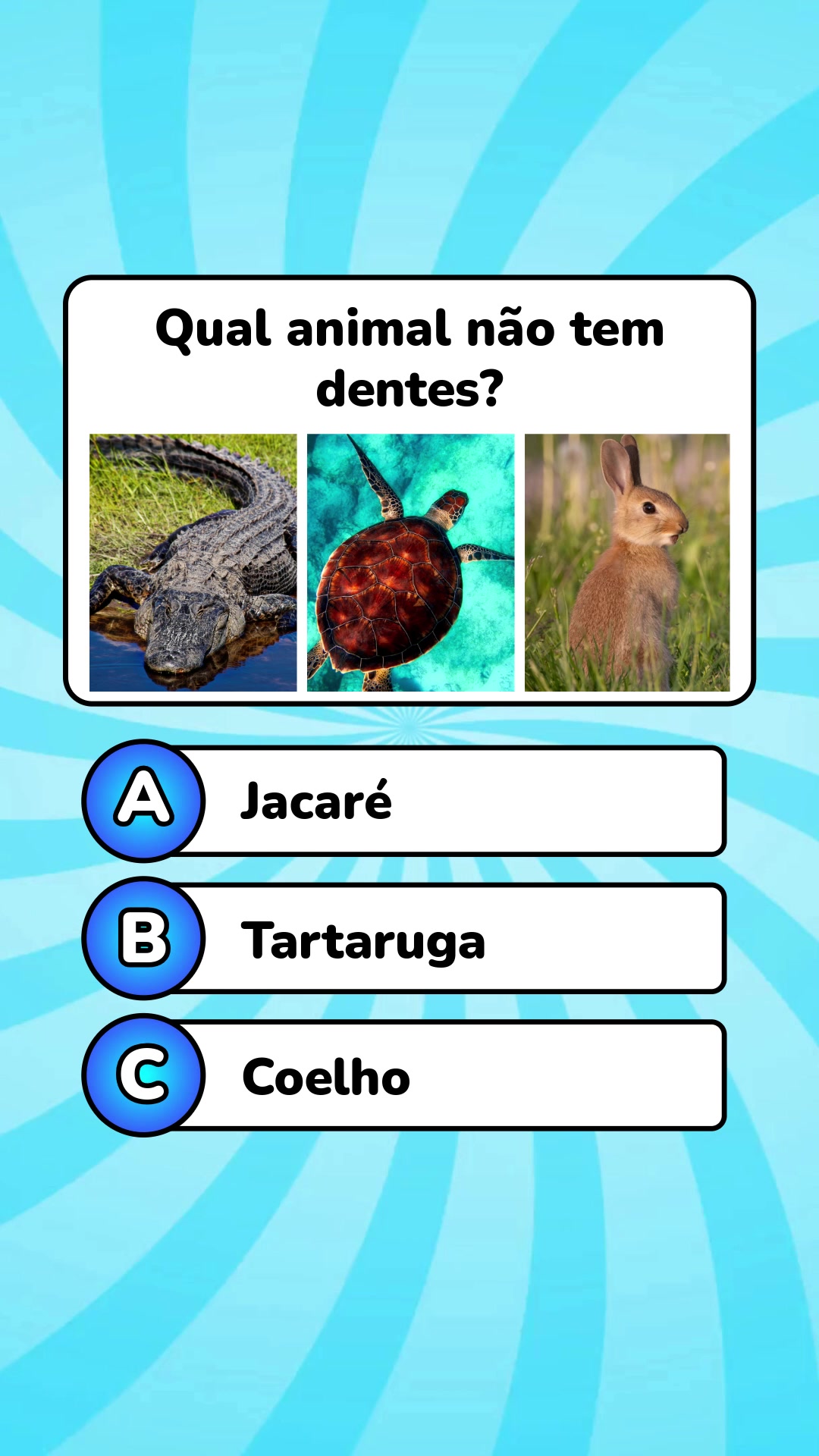 @Quiz Lev