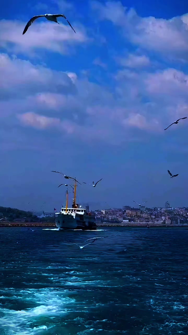 @ilkin_366