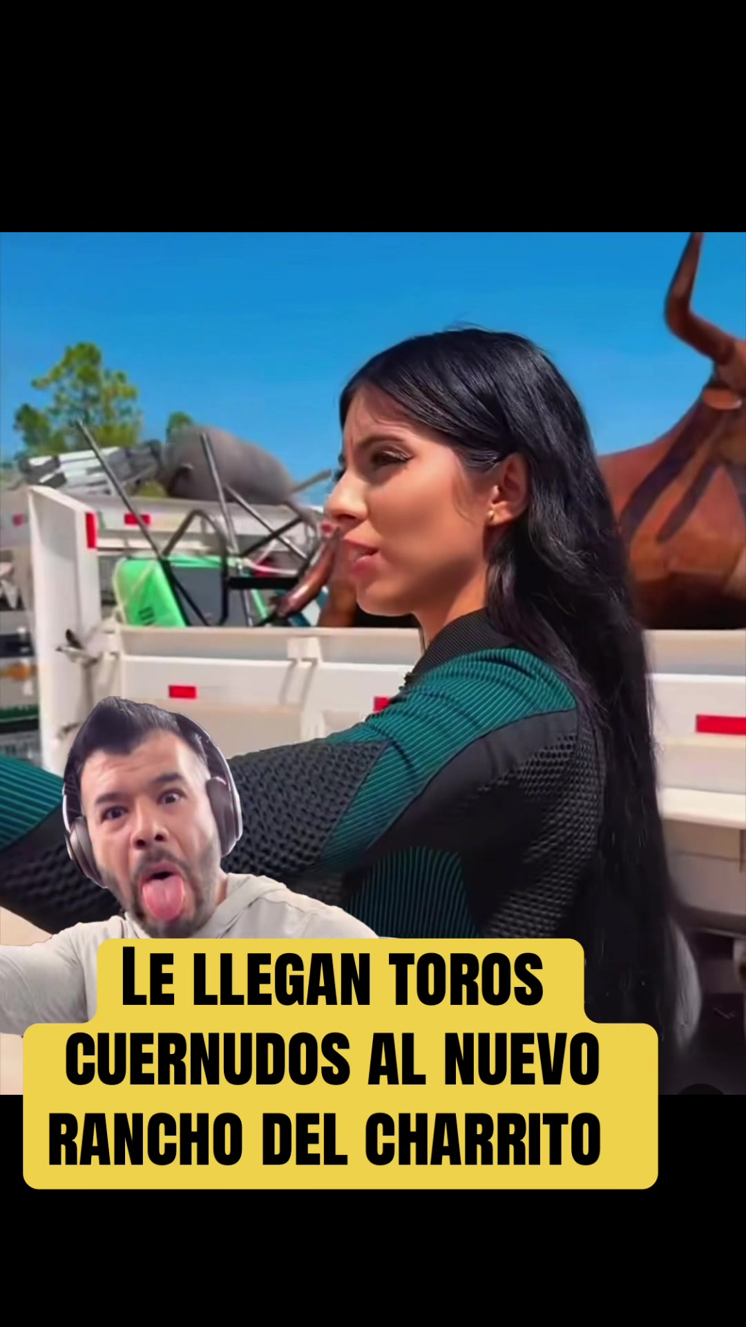 @EL PERRO 69 🐕&zwj;🦺