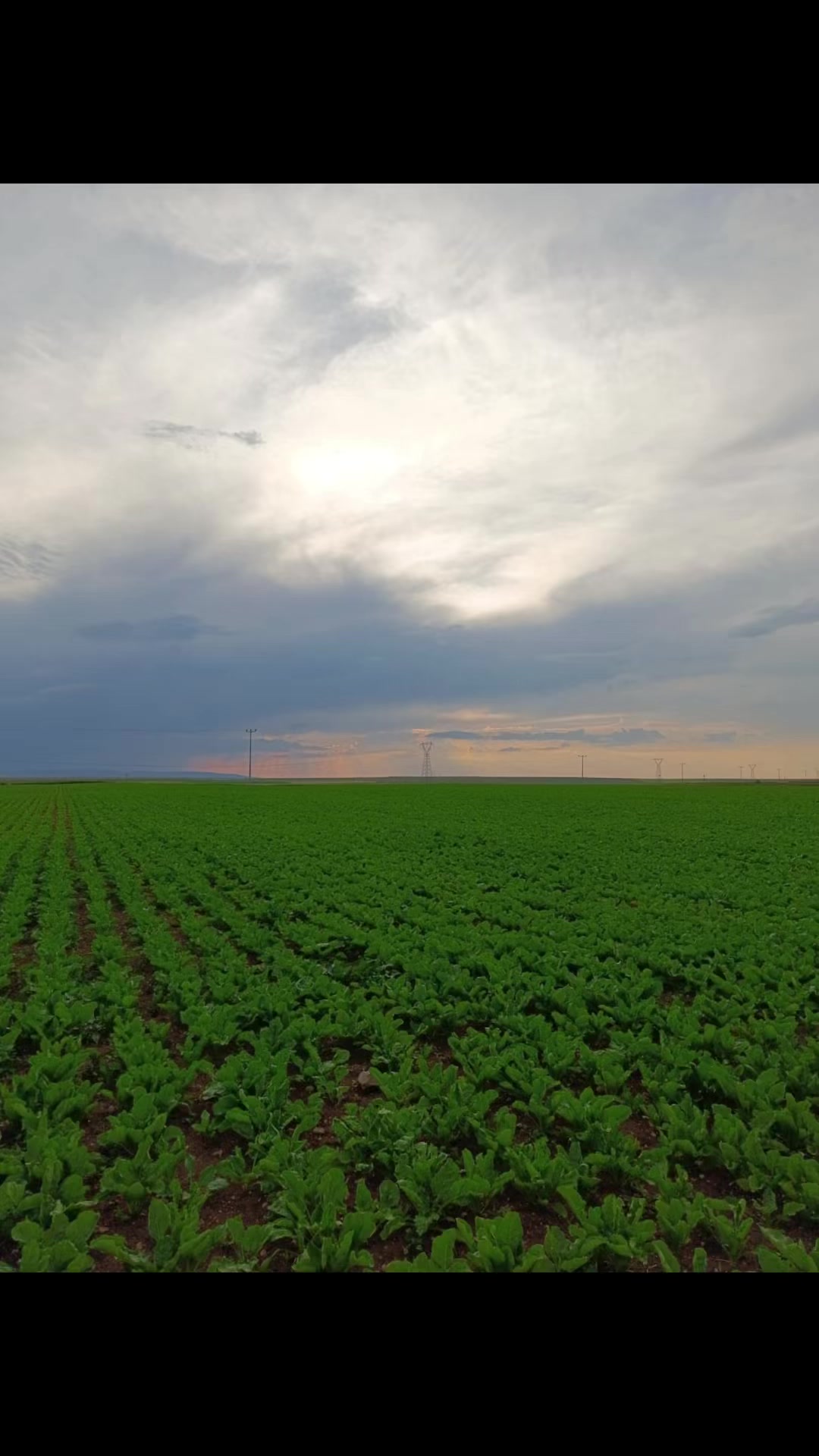 @AGROŞİMŞEK TARIM &Uuml;R&Uuml;NLERİ