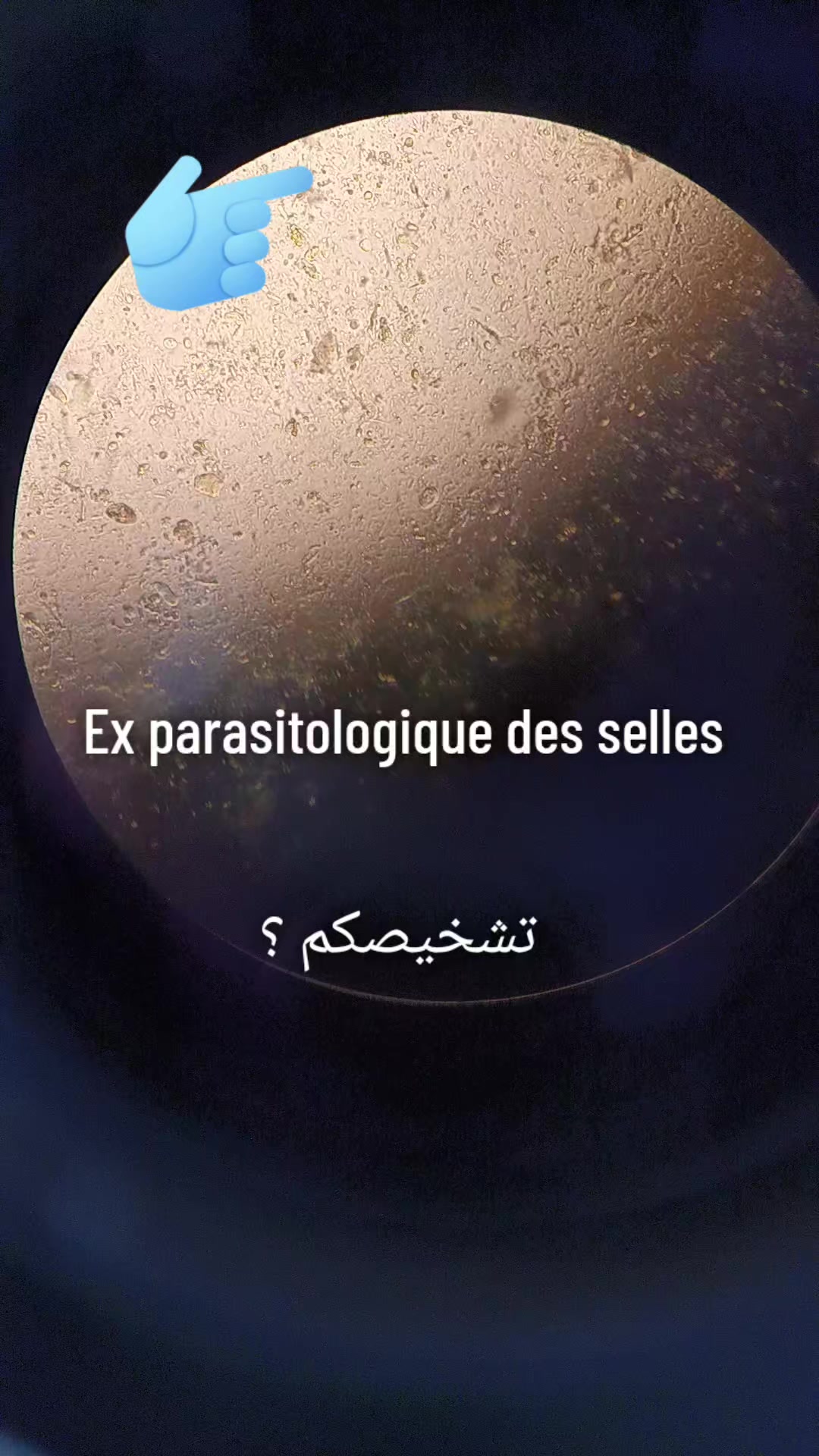 @Houda Micro 🔬