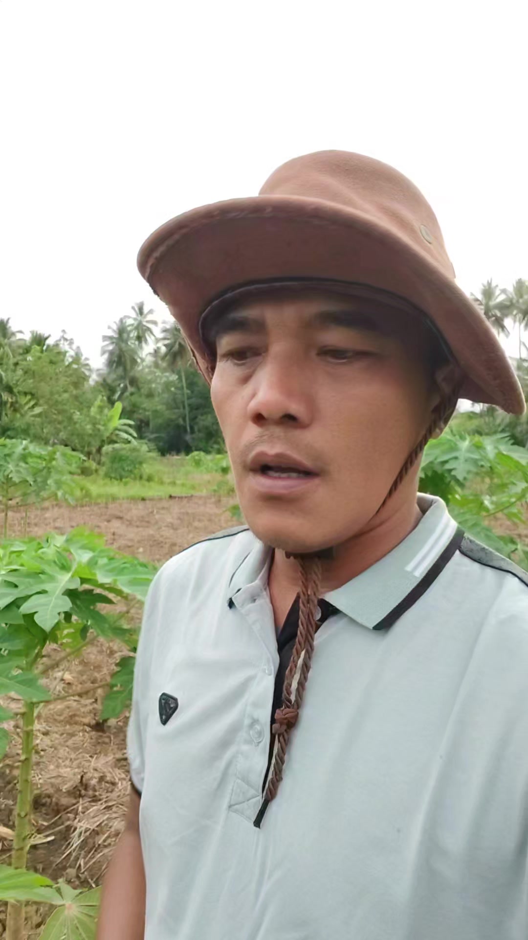 @petani kecil ujung tapsel