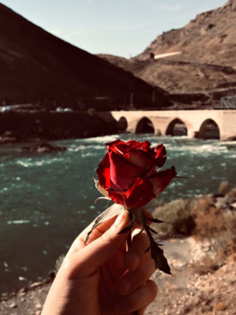 @Türkiye