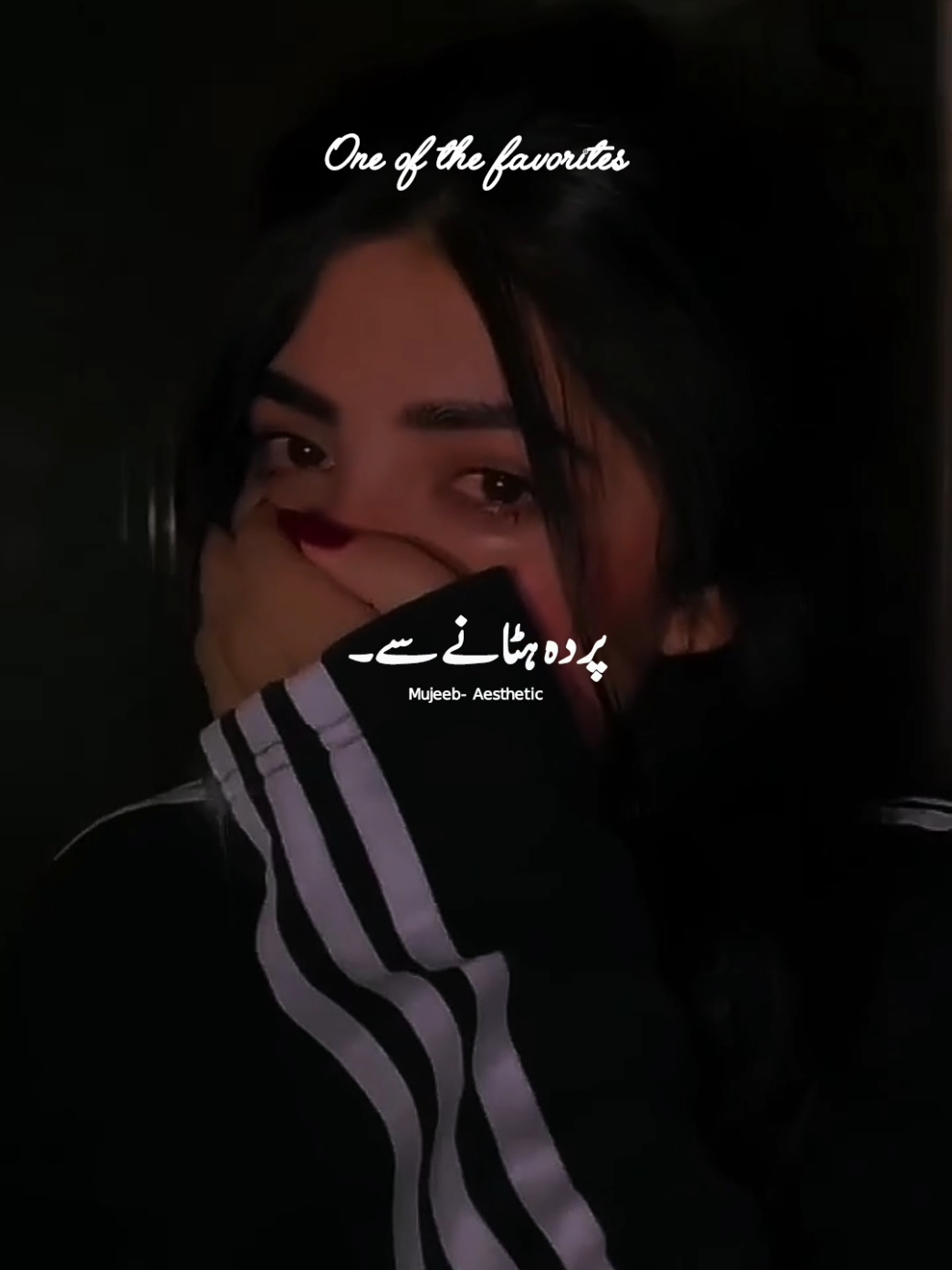 @๐ด๐๐๐ออก๐๐ท °»๐ฉต๐ชฝ