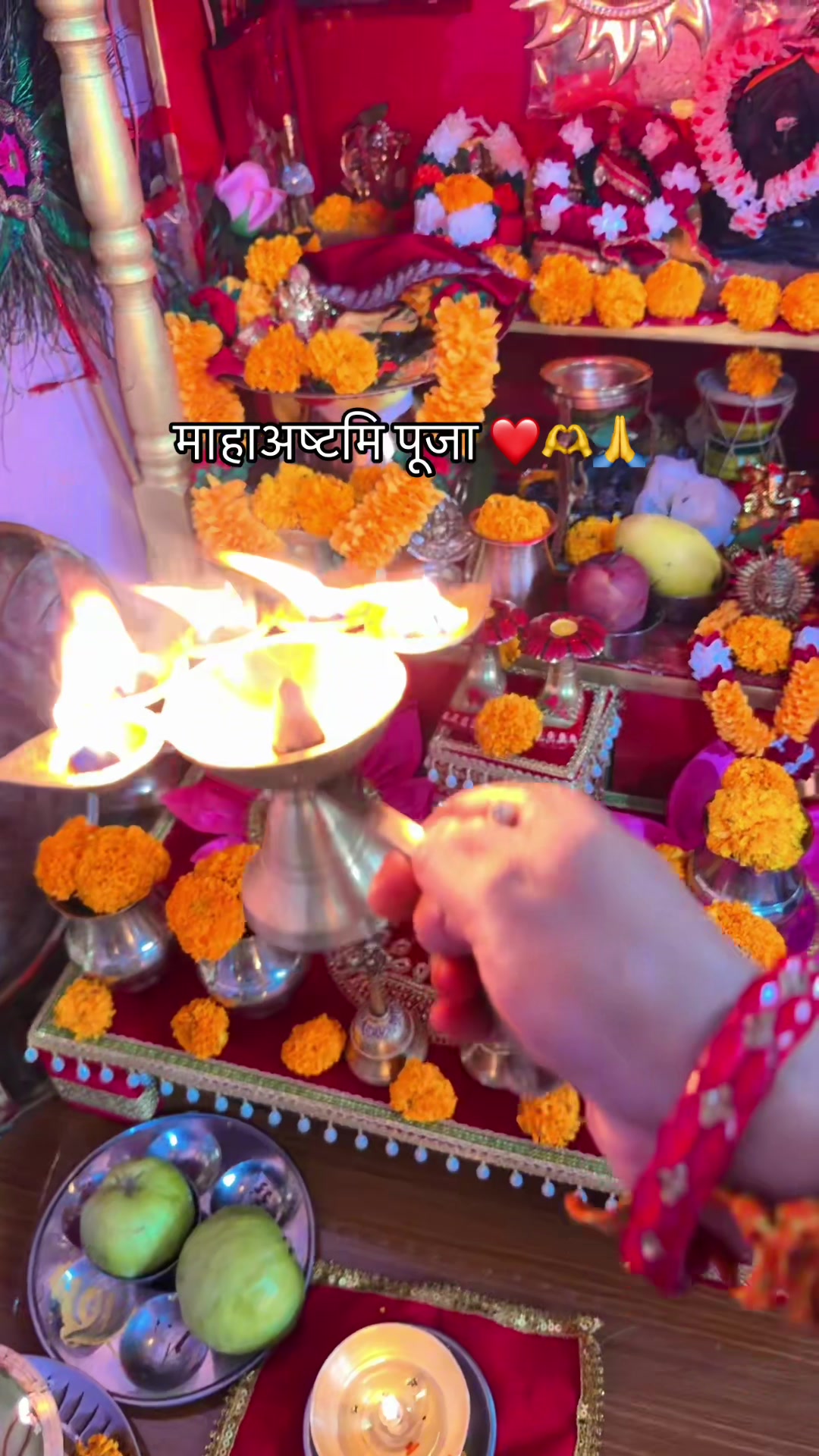 @sitashmathapa71588