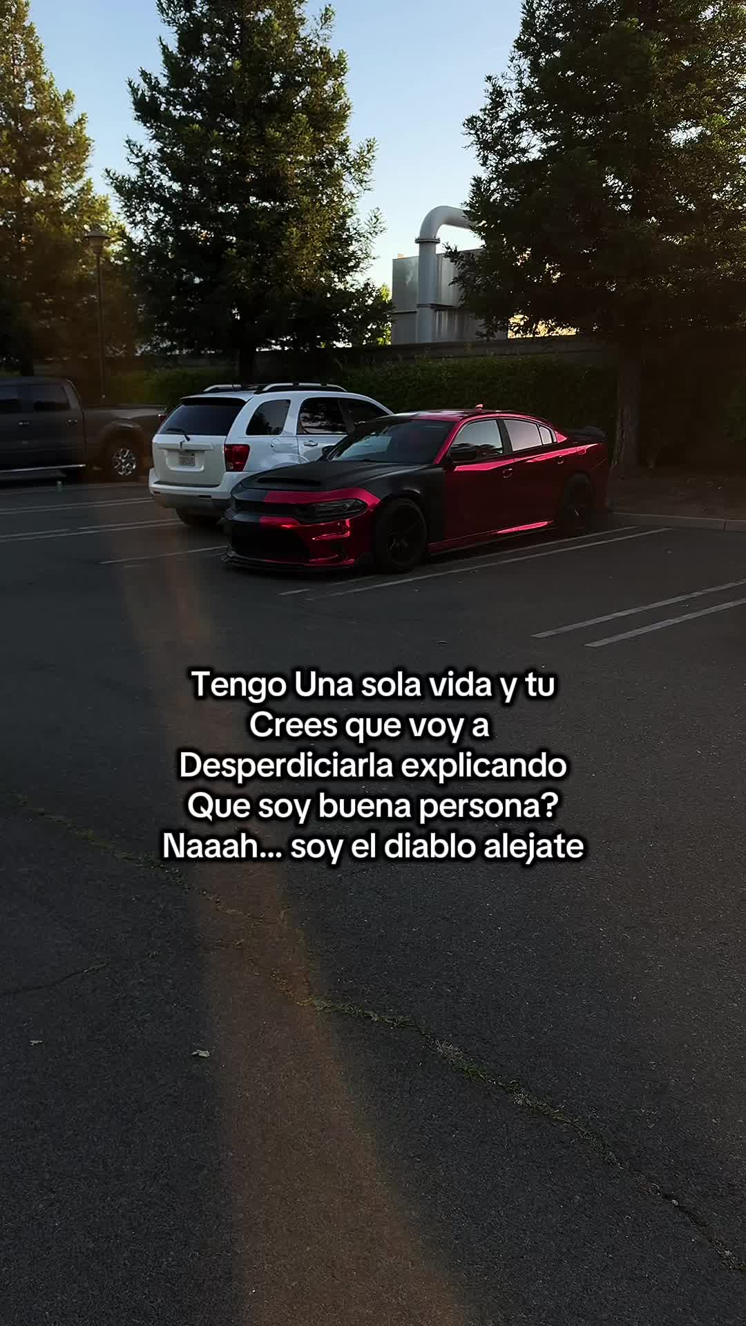 @Arami M